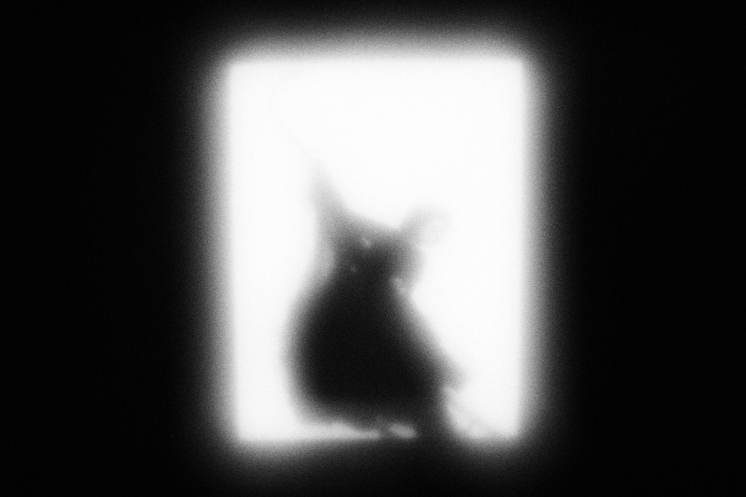 Маленькие искусства и я, Полина Шадрина