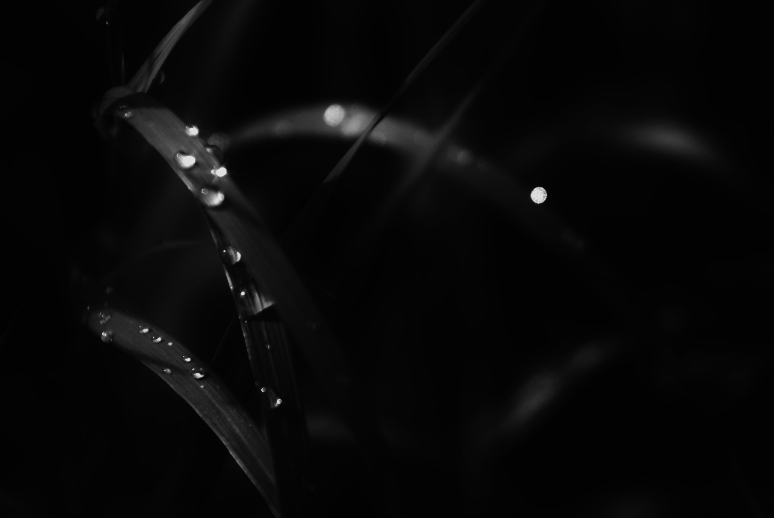 Внутривенные сны (2018-2023)