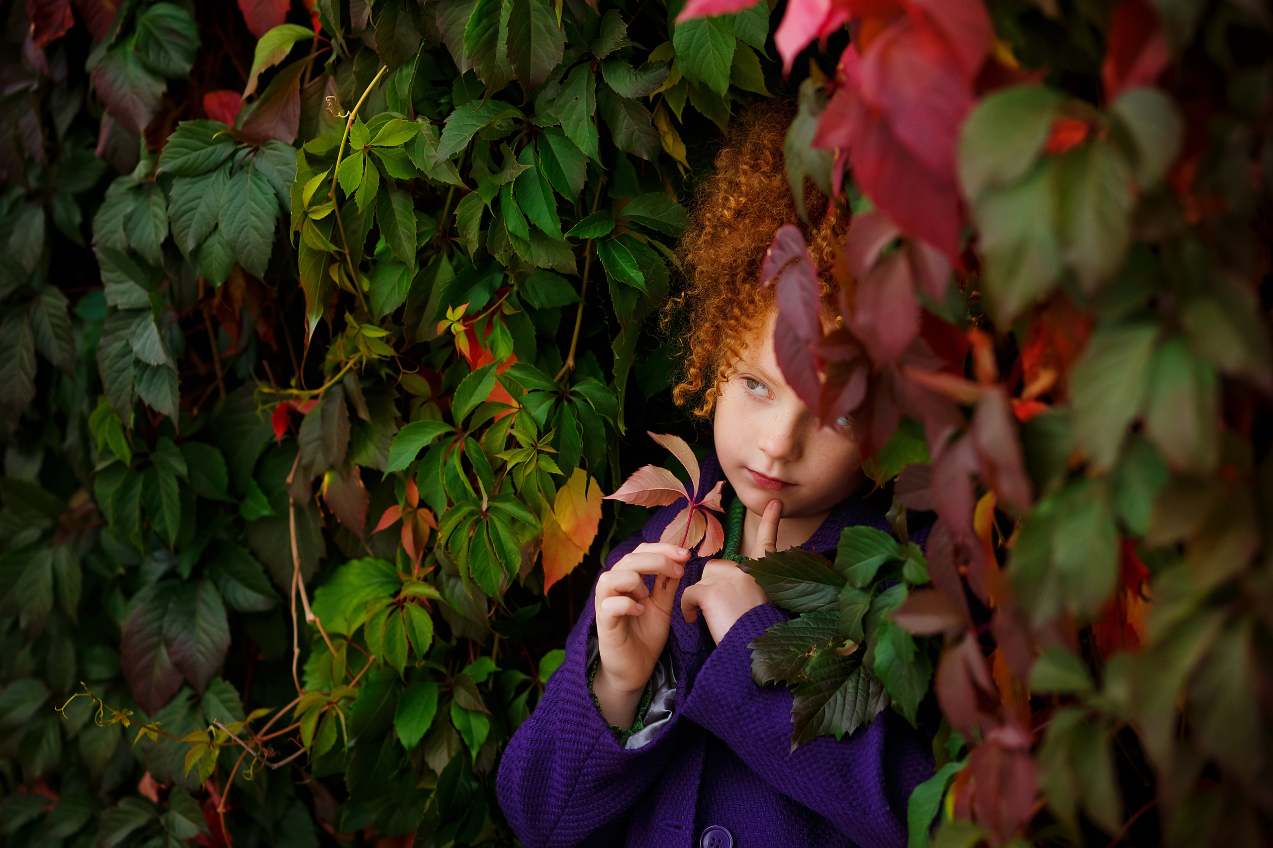 . Фотограф в Москве и Одинцово