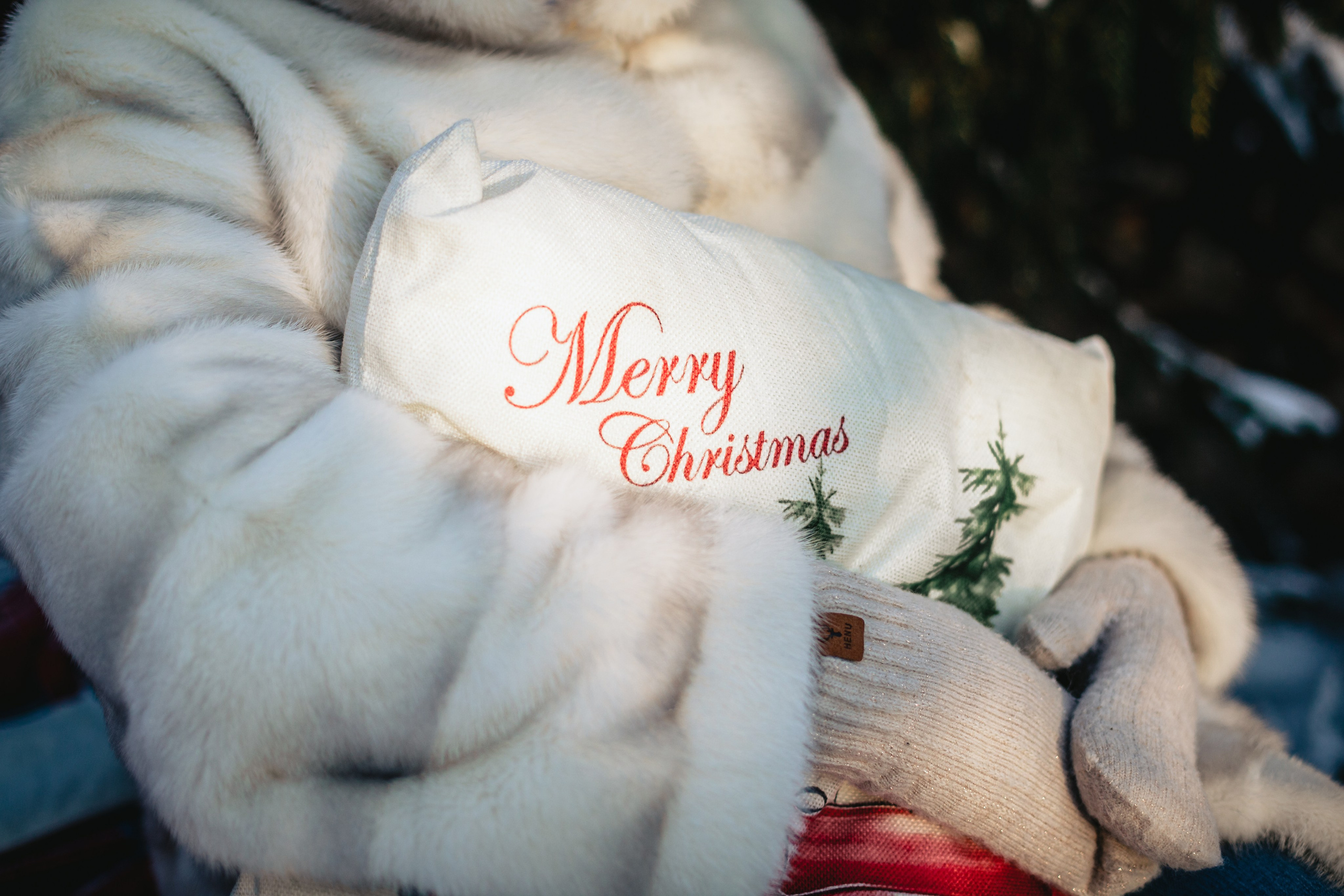 Зингер дача. Фотограф-анималист Татьяна Степанова