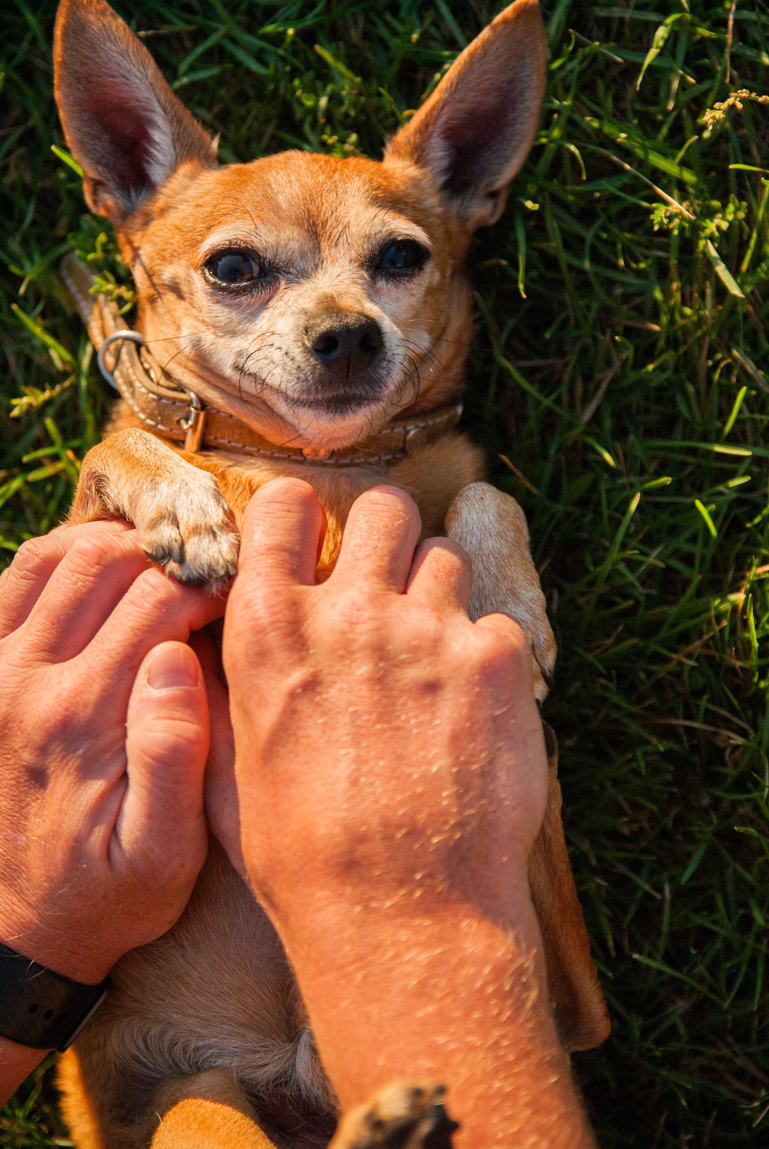 Зоопарк в моём багаже. Кошенкова Мария: портретный и репортажный фотограф. Санкт-Петербург