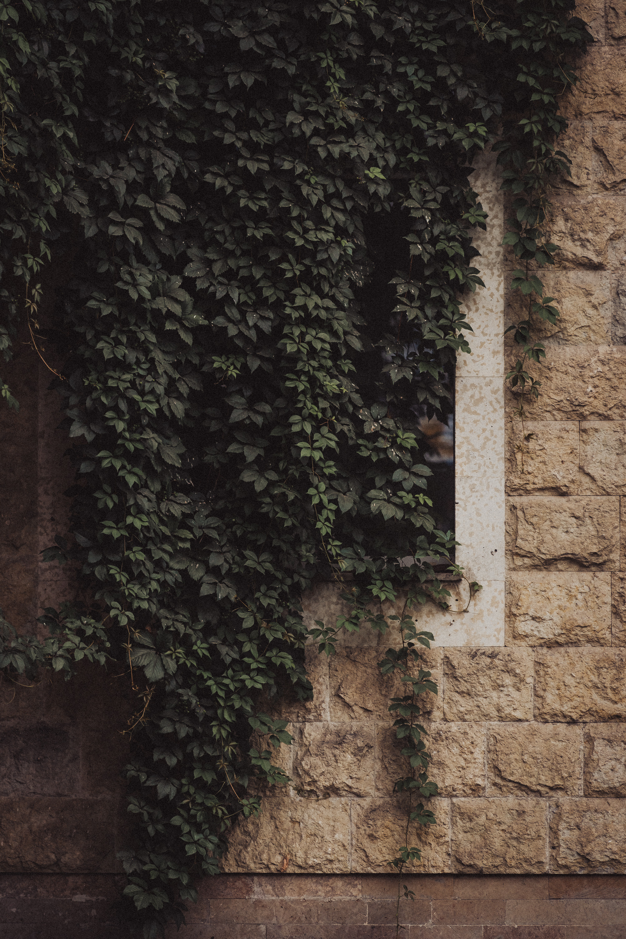 Проект «На улице Ленина». Санкт-Петербург, Ленинский пр. Документальный фотограф Илья Тихановский