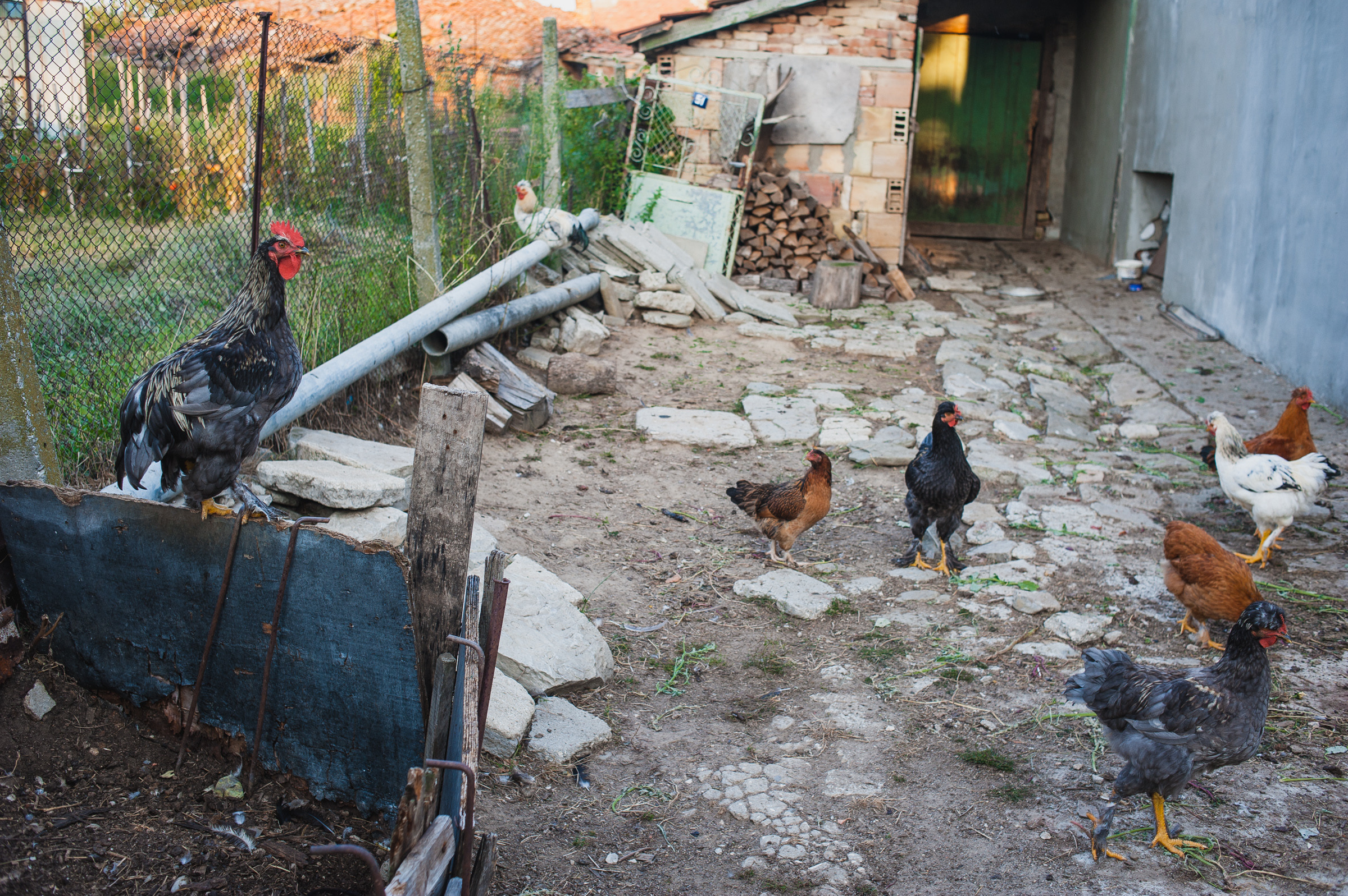 Серия фотографий «на дачу в Болгарию» (2014). Документальный фотограф Илья Тихановский