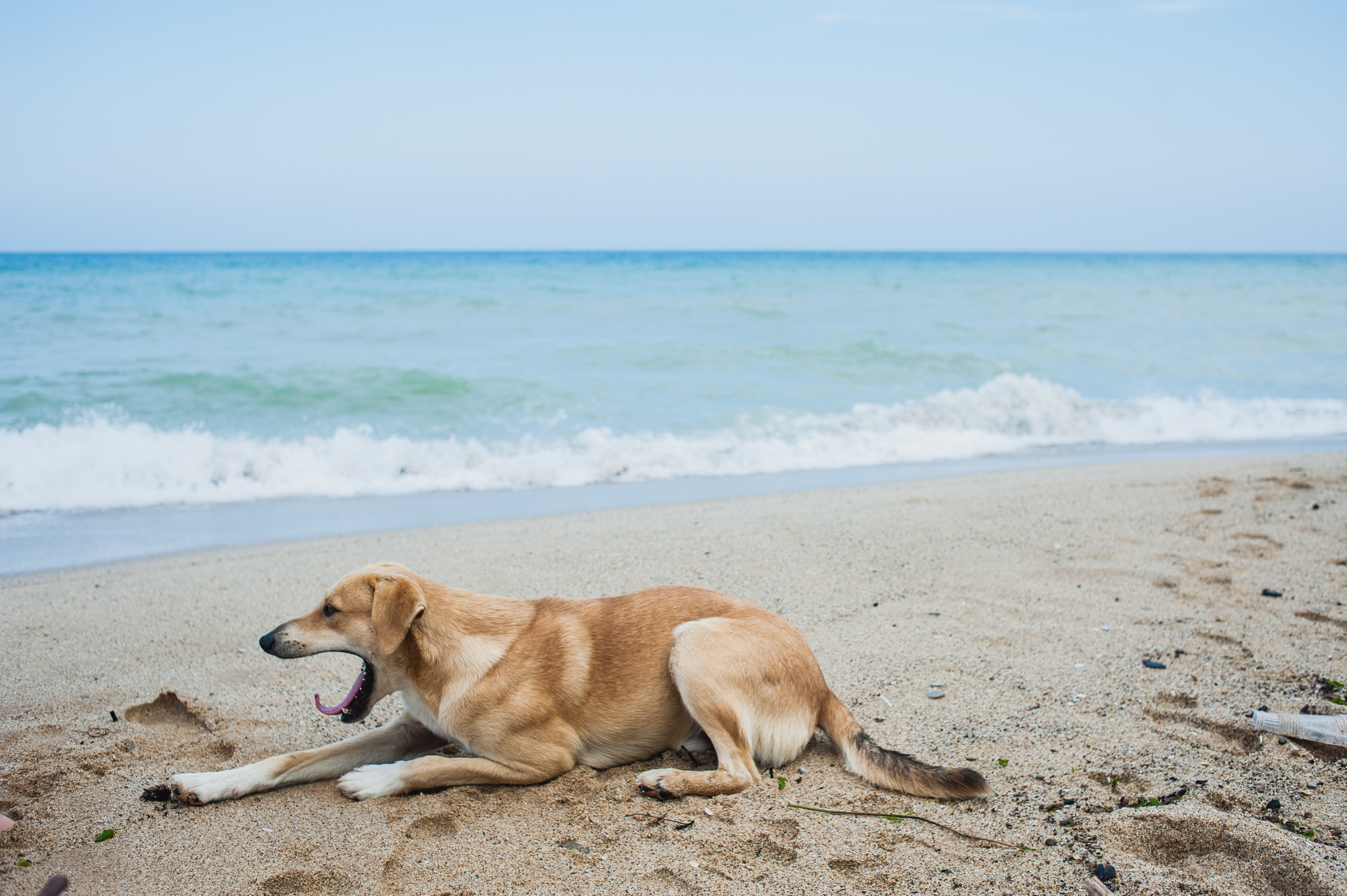 Серия фотографий «на дачу в Болгарию» (2014). Документальный фотограф Илья Тихановский