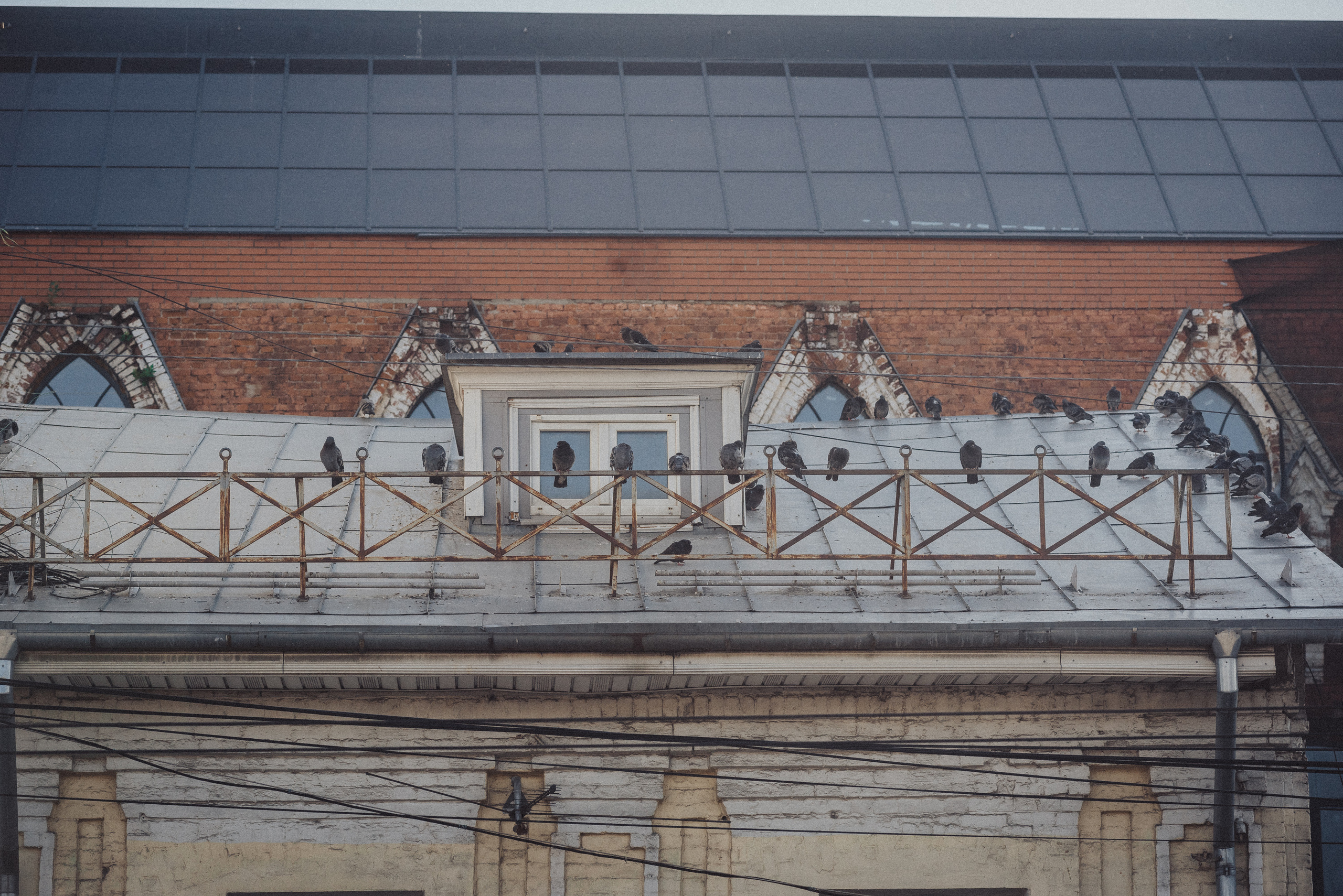 Проект #улицыгорода. Ярославль, ул. Первомайская. Документальный фотограф Илья Тихановский