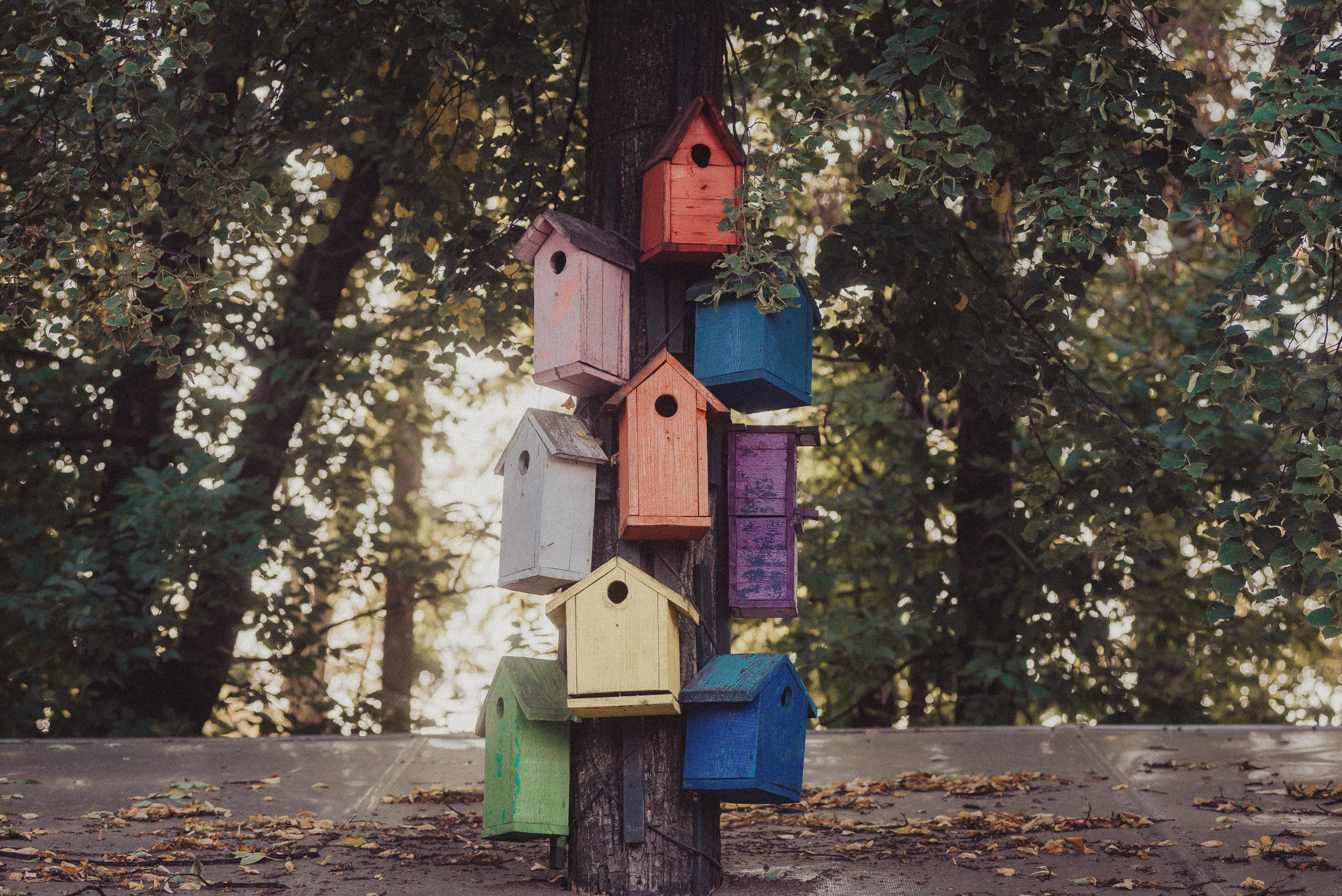 Проект #улицыгорода. Ярославль, ул. Ушинского. Документальный фотограф Илья Тихановский