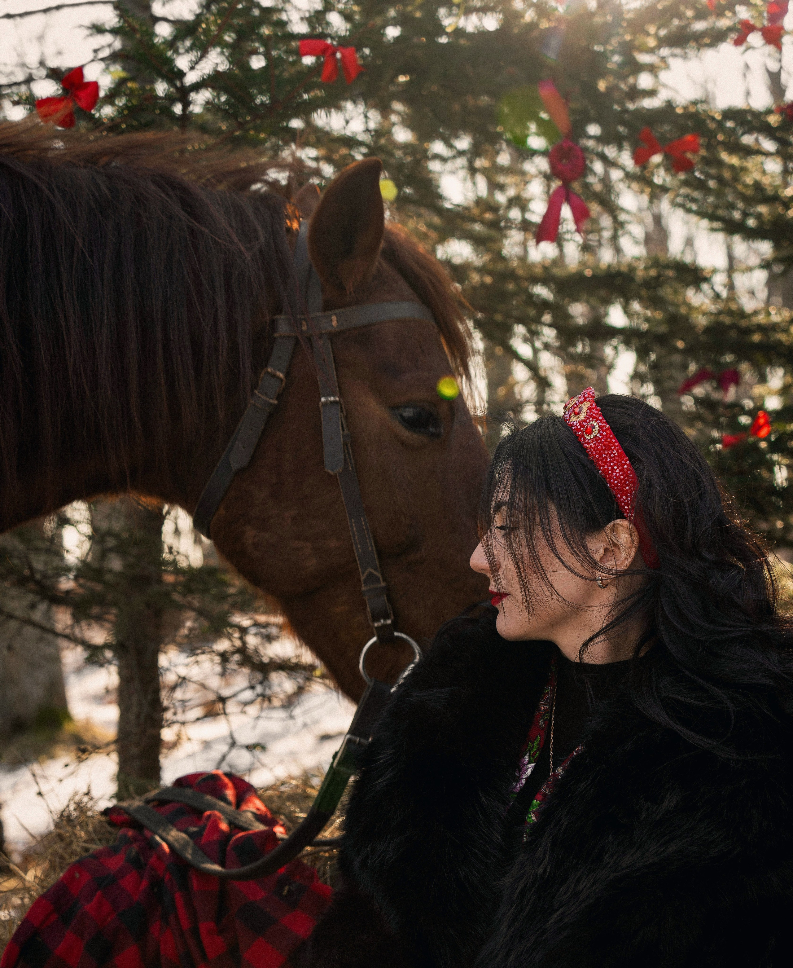 Фотодень «Символ 2026 года». Семейный фотограф анималист г. Находка