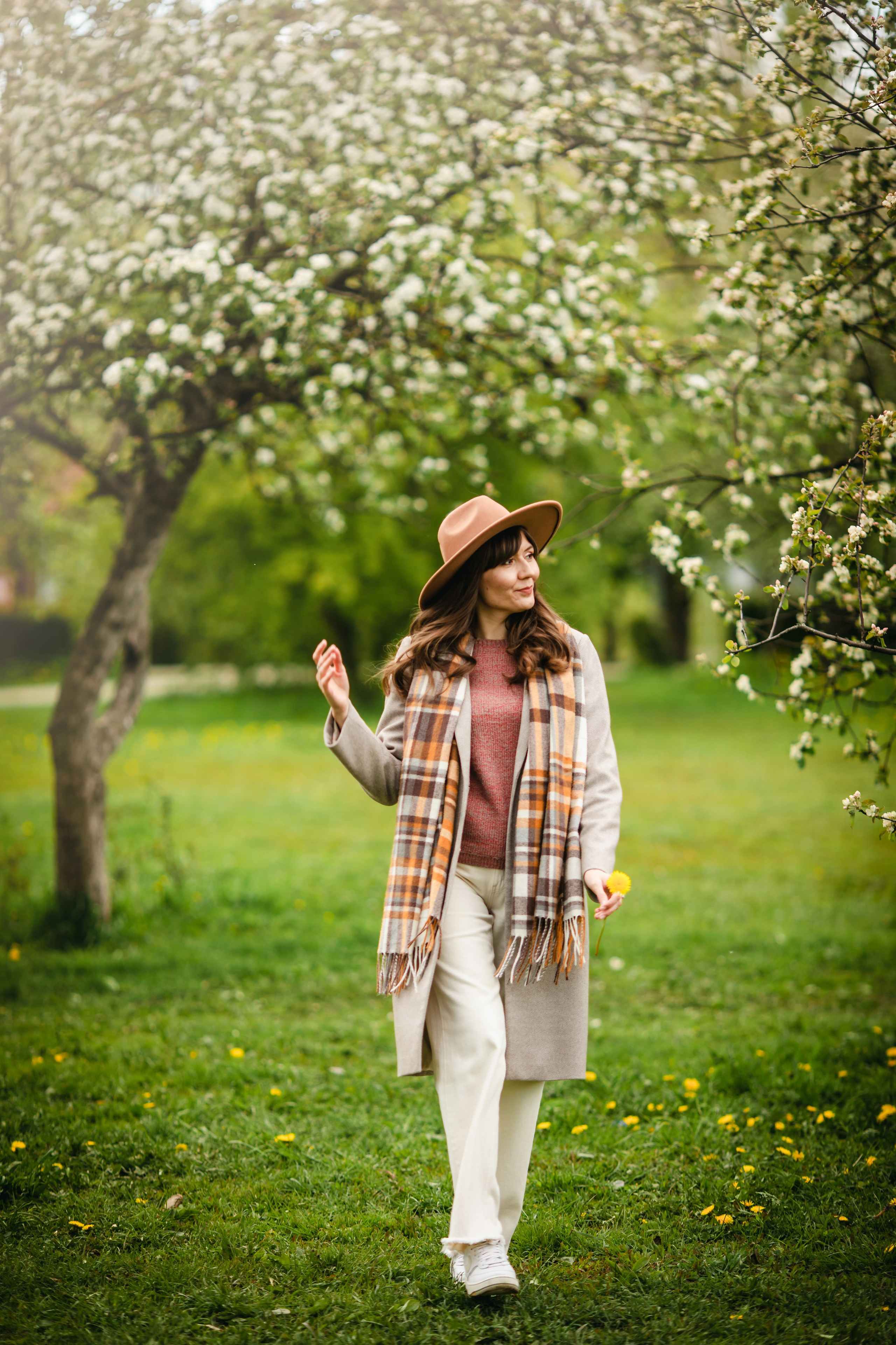 Яблони в цвету. Olga.filippova.photo