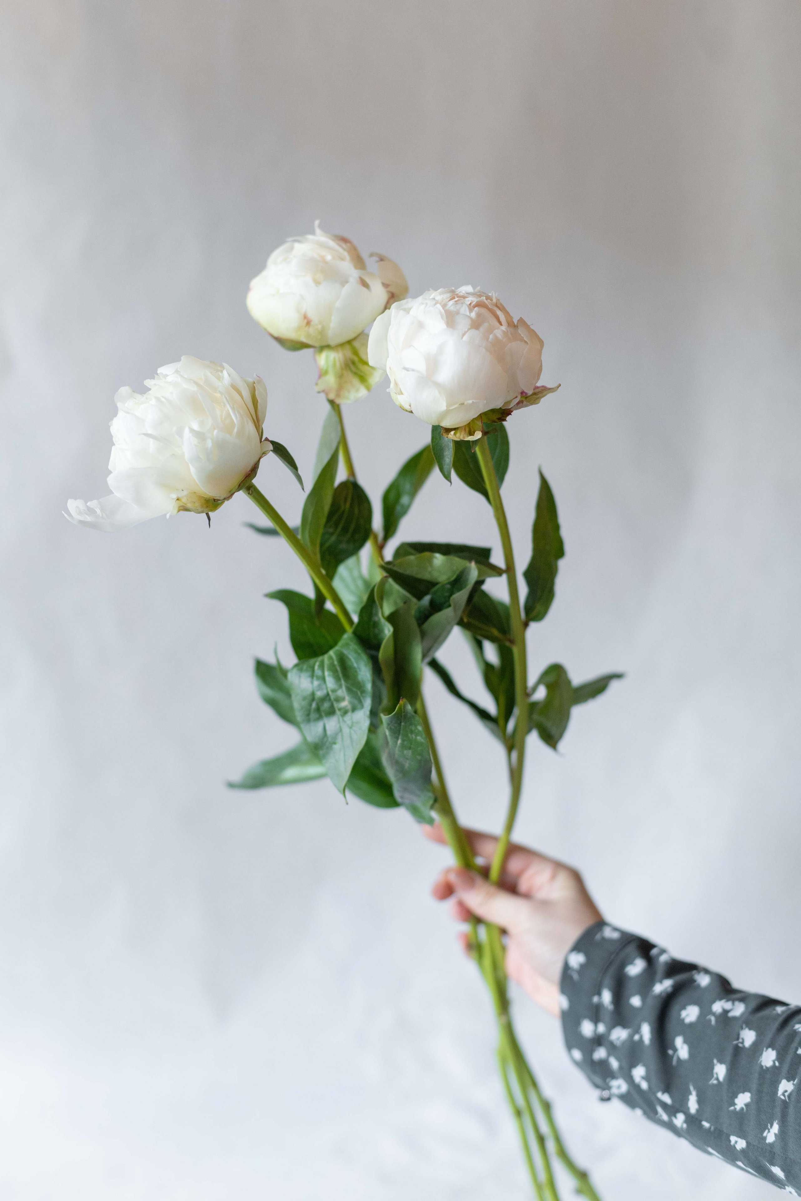 Букеты. Фотограф в Красноярске Надежда Воскресенская