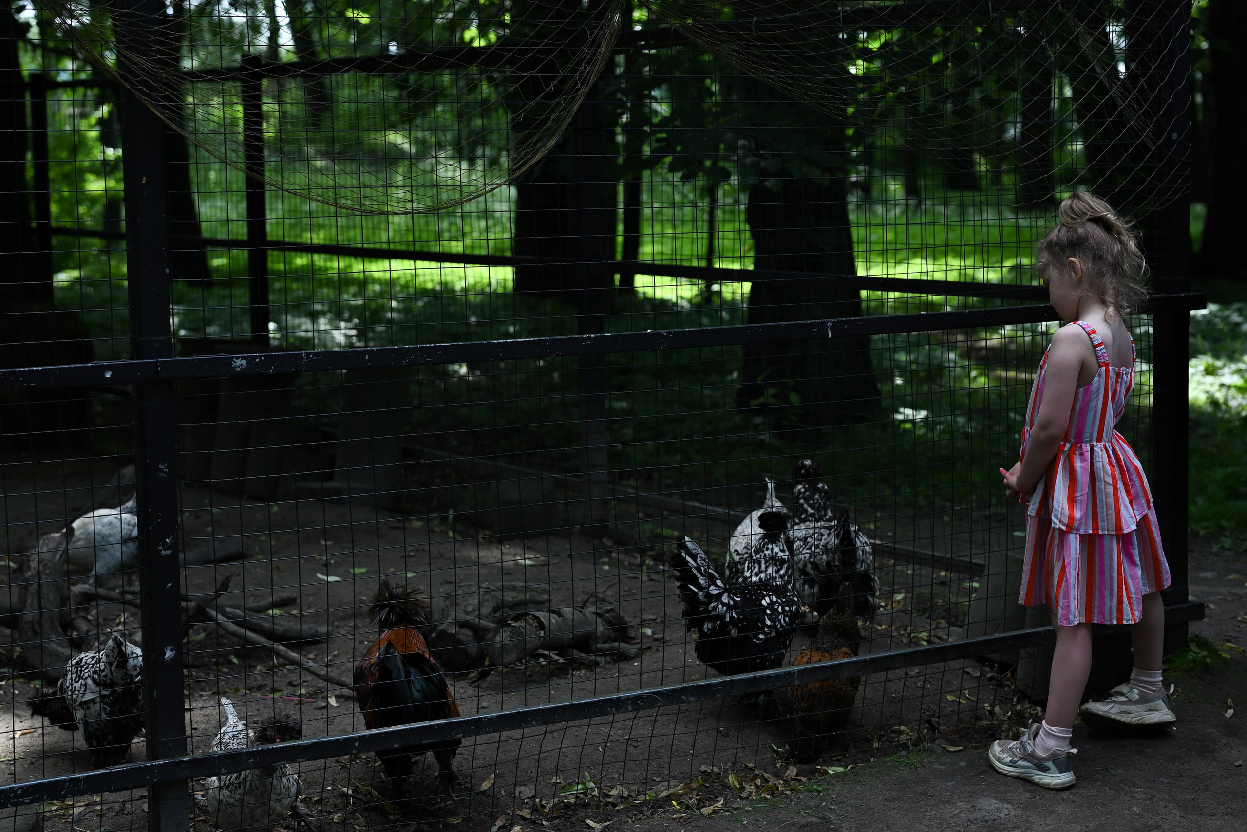 Saint-Petersburg. Photographer in Saint Petersburg, Russia