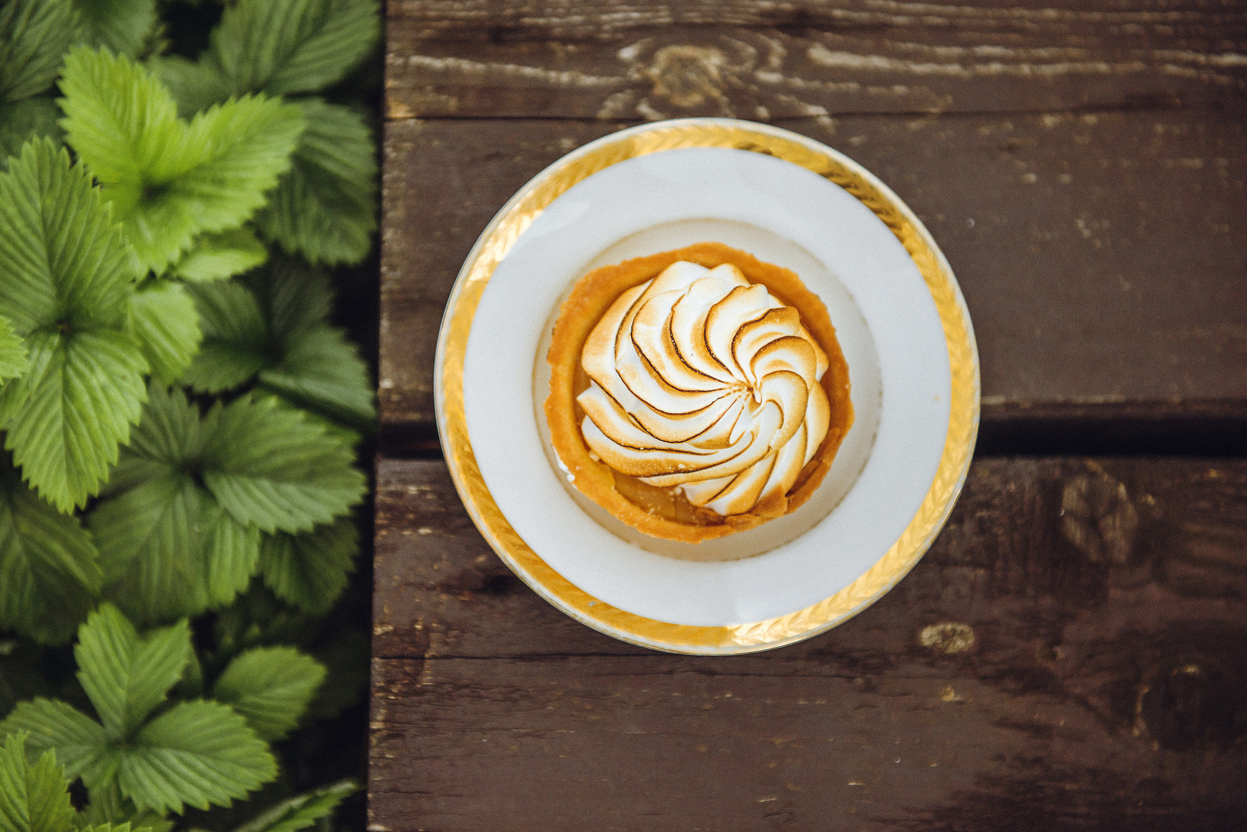 Полина. Ниша: Психология. Фотограф для контента Мария Золотарева (СПб)