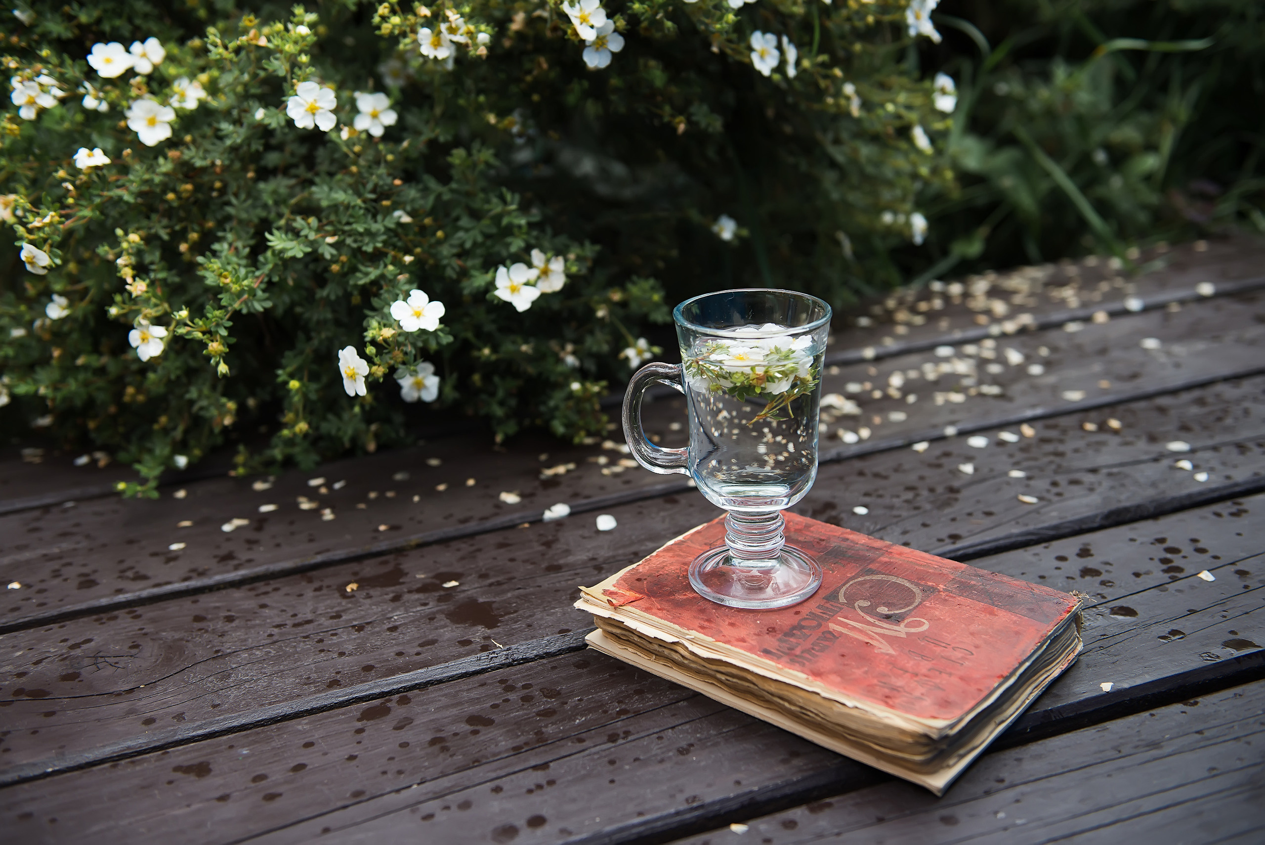 Полина. Ниша: Психология. Фотограф для контента Мария Золотарева (СПб)