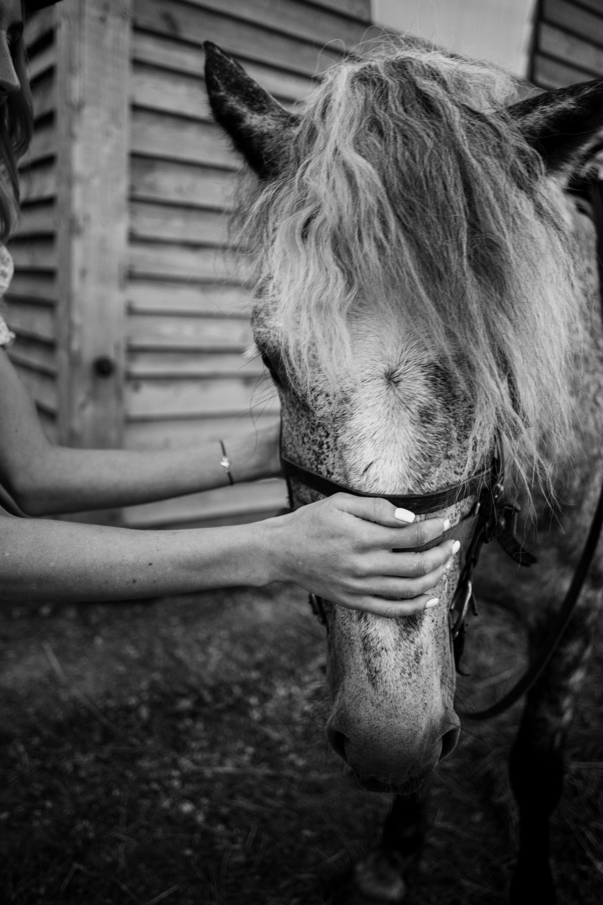 Фотосессии. Фотограф в Каргополе и Няндоме