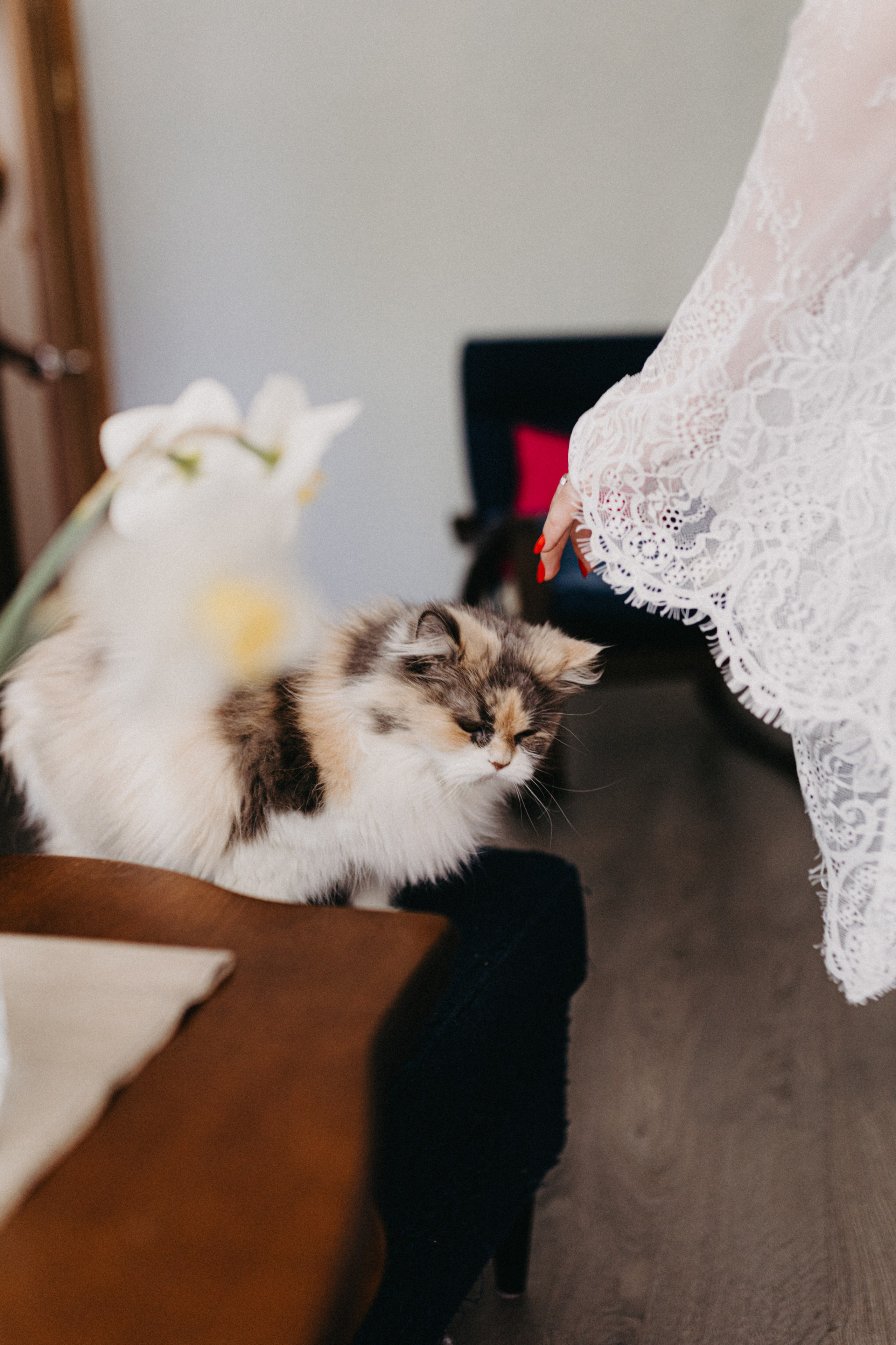 Свадьба Маши и Димы. Свадебный и семейный фотограф Женя Добрянская в Нижнем Новгороде