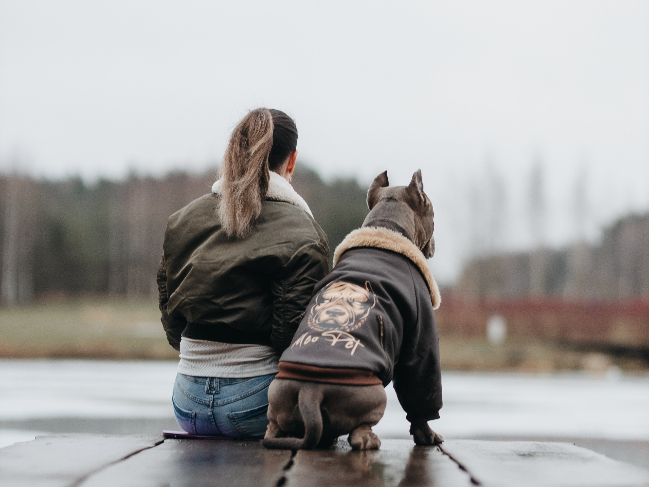 Зевс и Мария. Фотограф-анималист в Москве Кириллова Татьяна