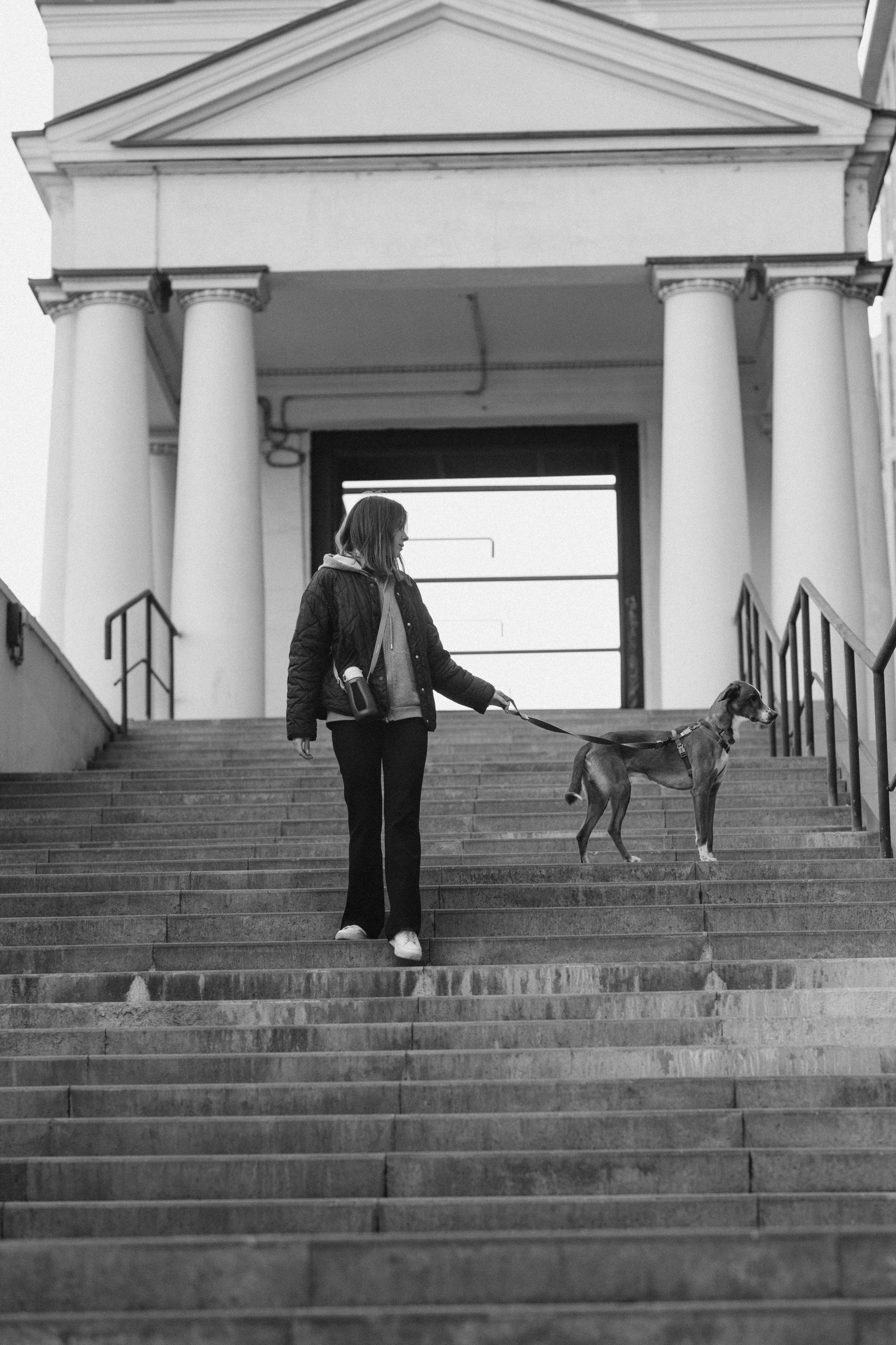 Съемка для бренда ZeeDog. Фотограф-анималист в Москве Кириллова Татьяна