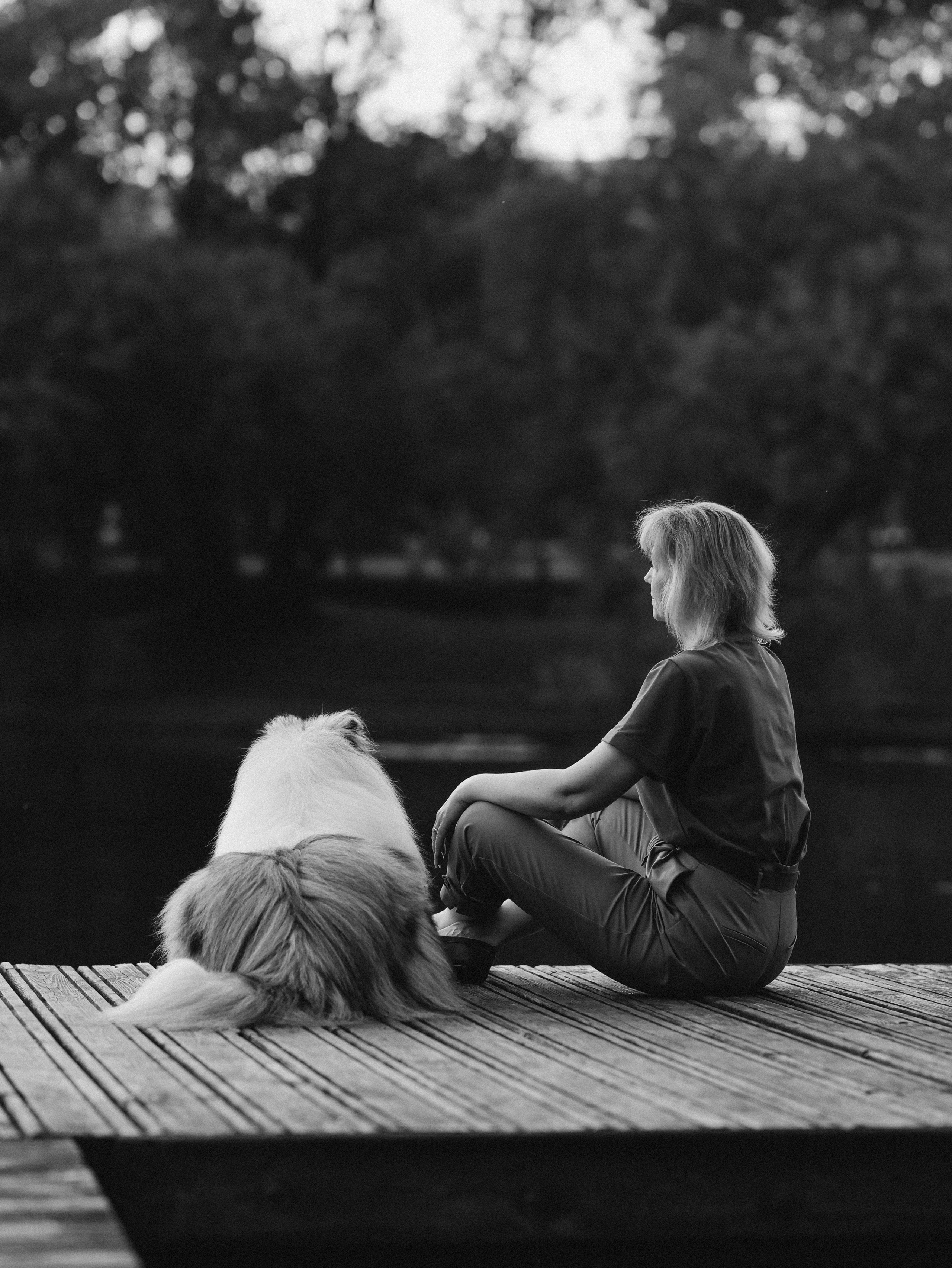 Гранд и Инга. Фотограф-анималист в Москве Кириллова Татьяна