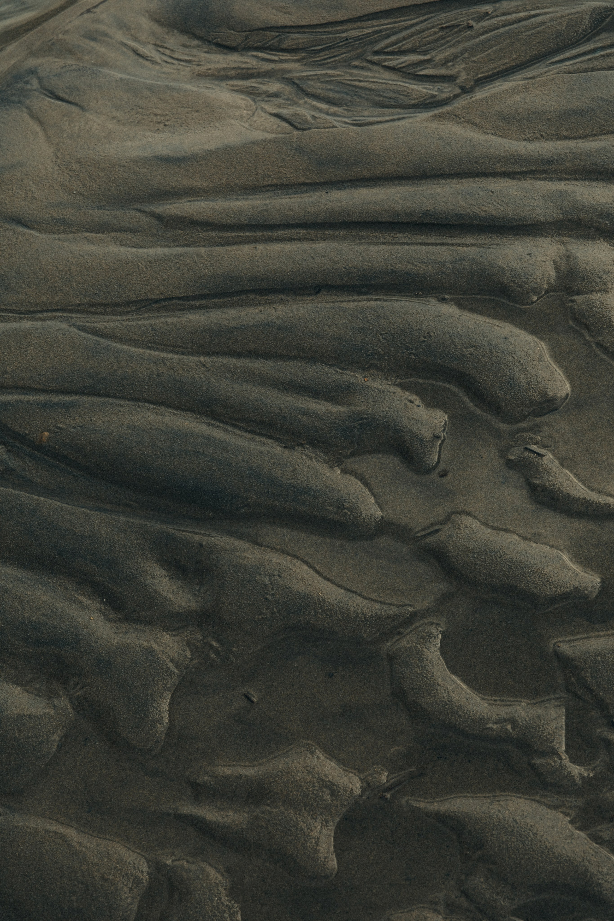 Portfolio. @beingabird.photography