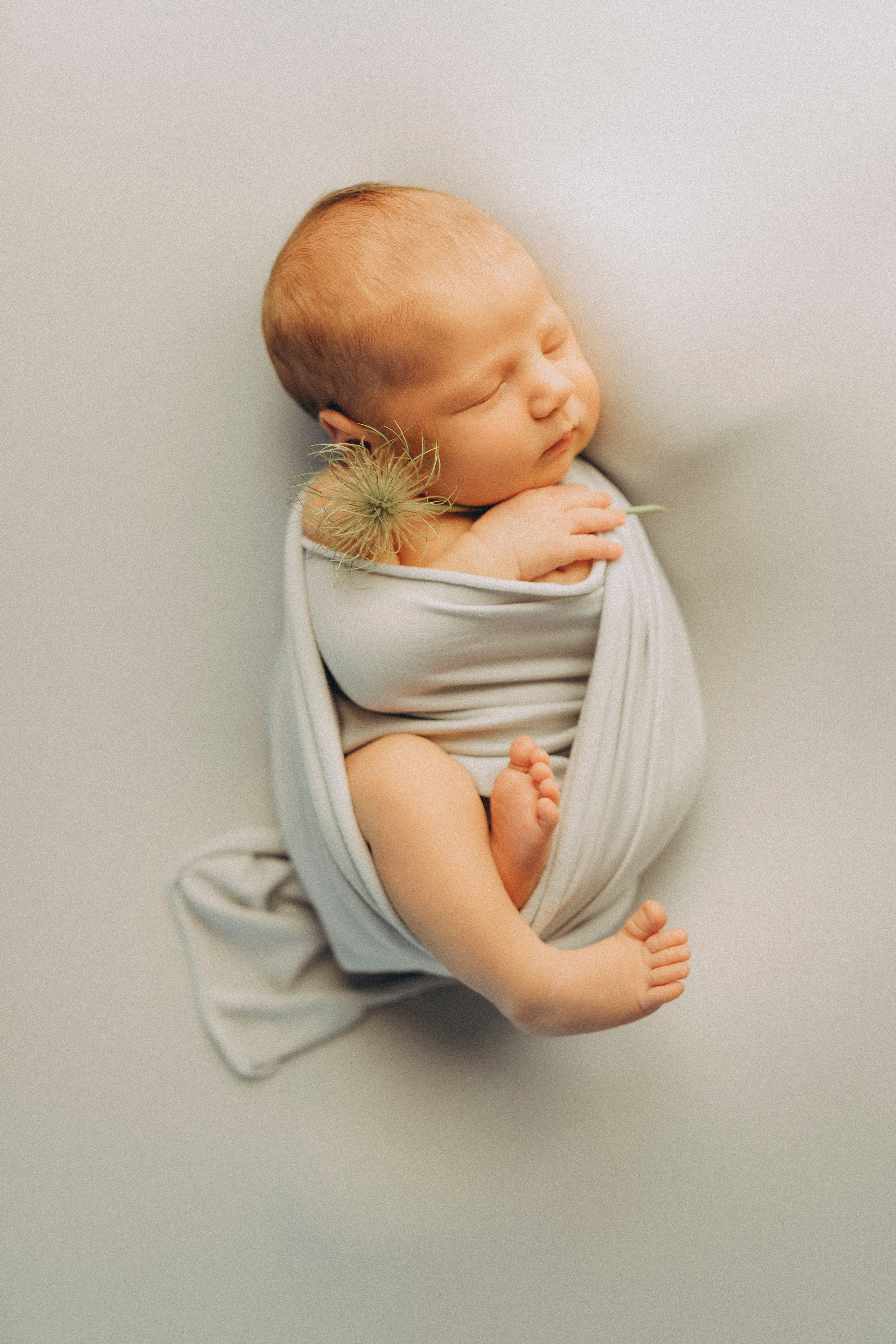 Арианда 16 дней. Фотограф новорожденных в Москве Щелково и МО Ангелина Энговатова