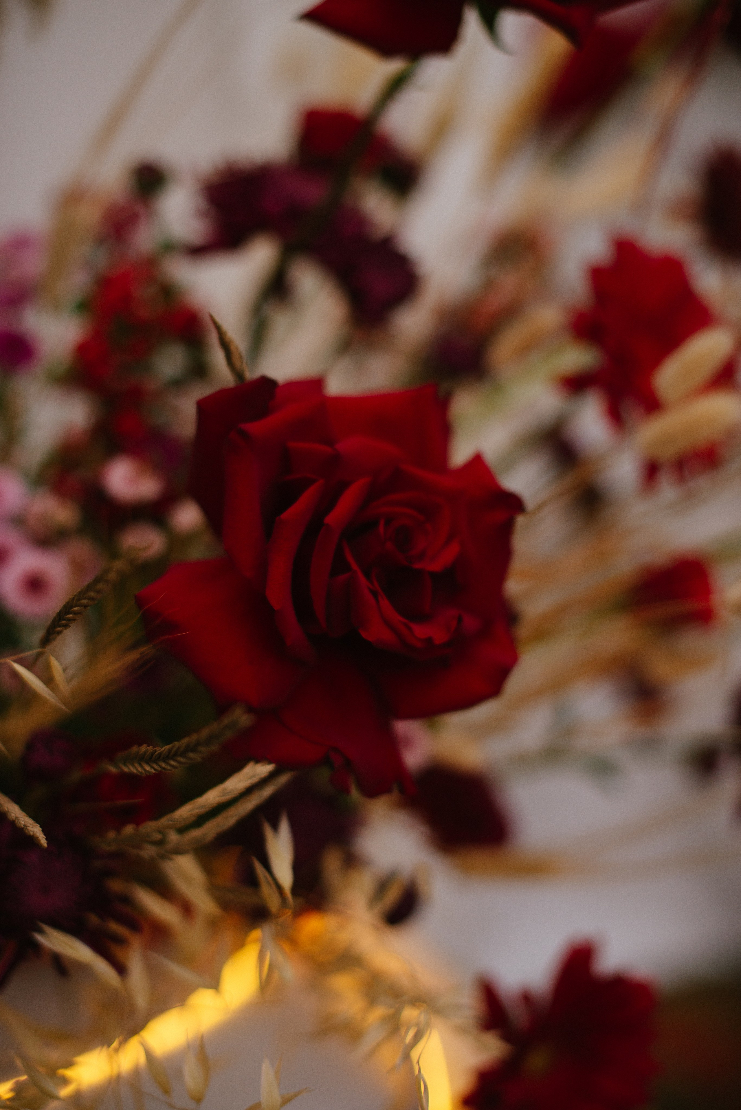 Роман и Лиза (г.Севастополь). Свадебный, женский, семейный фотограф в Севастополе Юлия Мошенко