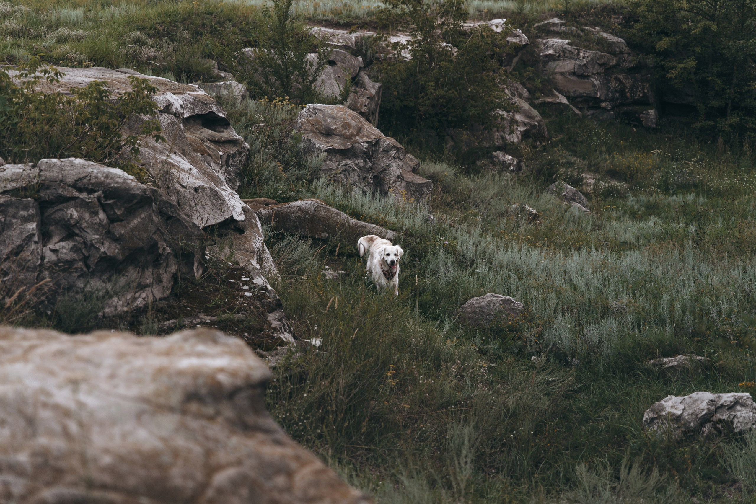 Ира и Барселона: история с кодовым названием «обложка VOGUE». Портретный и репортажный фотограф в Воронеже: Анастасия Пузикова