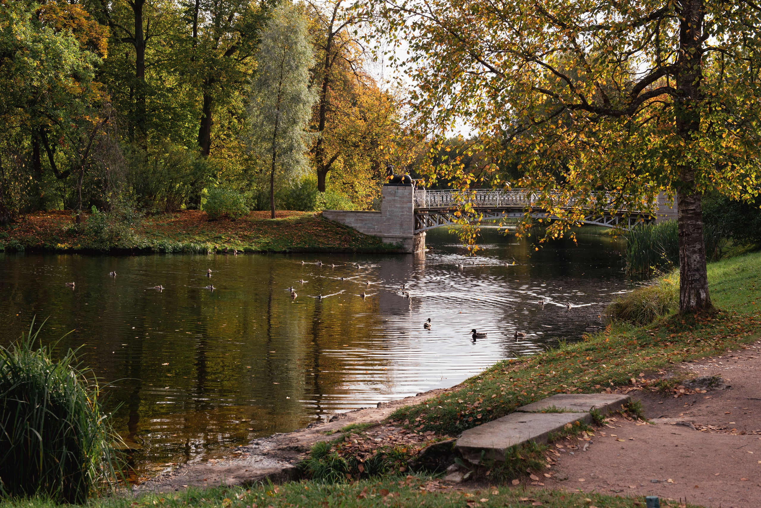 Павловский парк. Портретный и архитектурный фотограф в Москве и Санкт-Петербурге