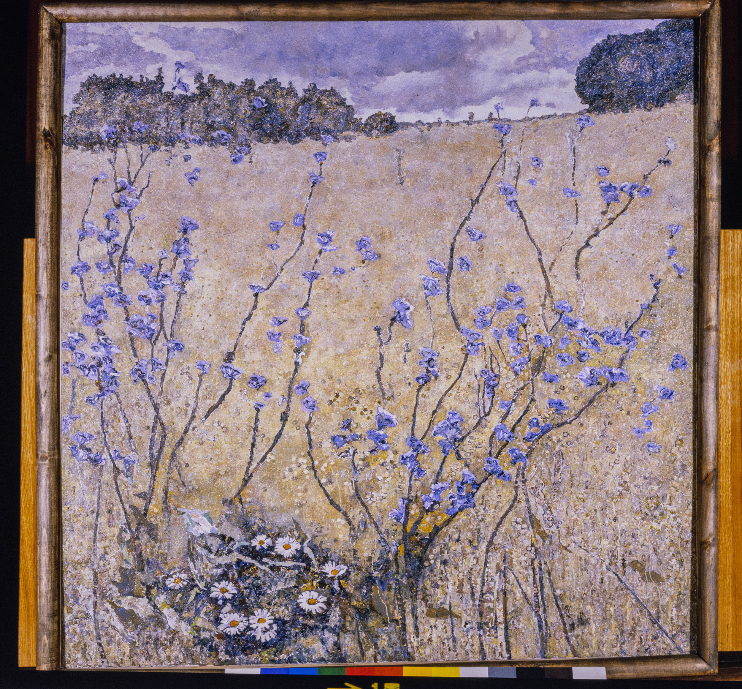 Творы Ядвігі Раздзялоўскай. Фотограф Евгений Стельмах в Молодечно и Минске