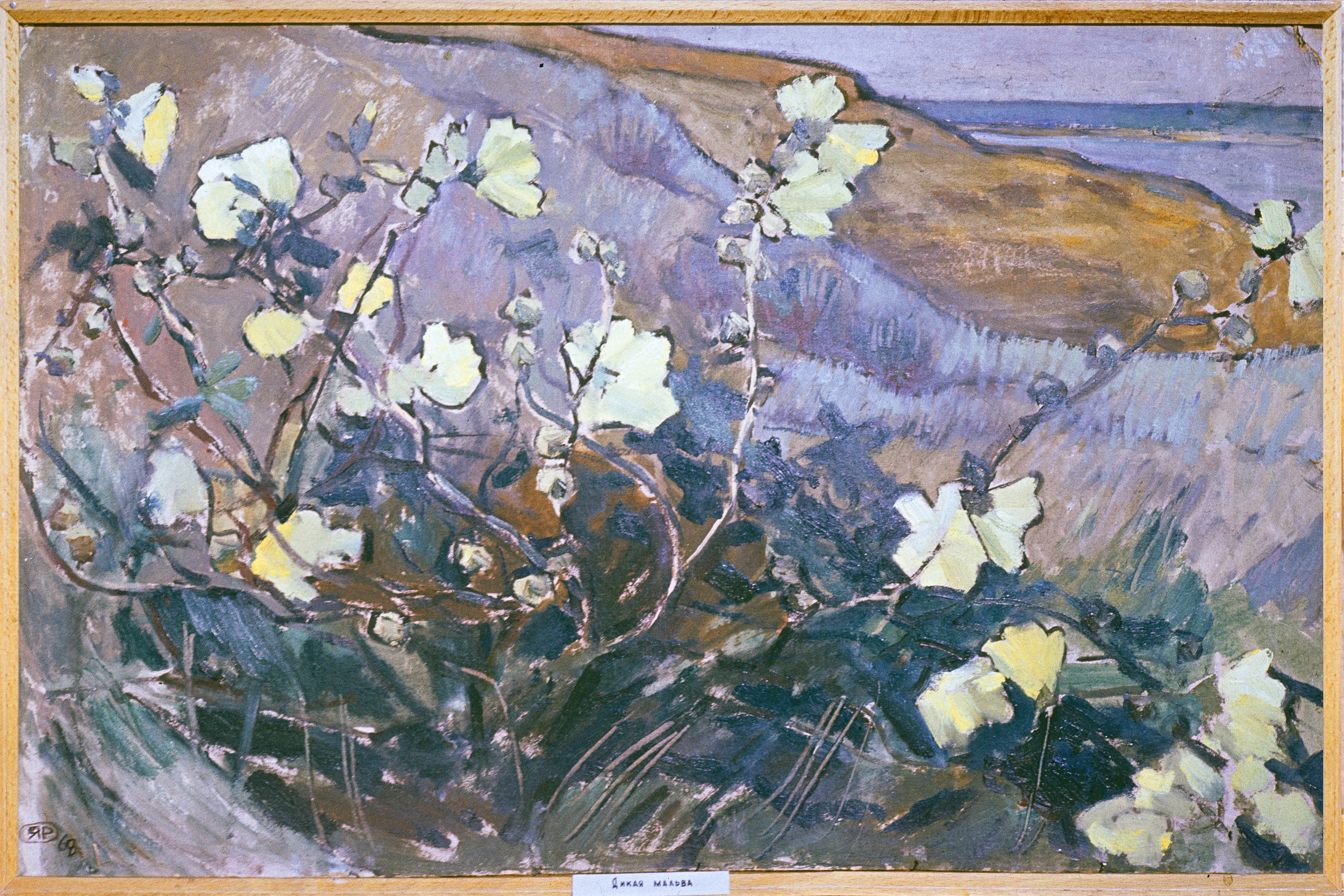 Творы Ядвігі Раздзялоўскай. Фотограф Евгений Стельмах в Молодечно и Минске