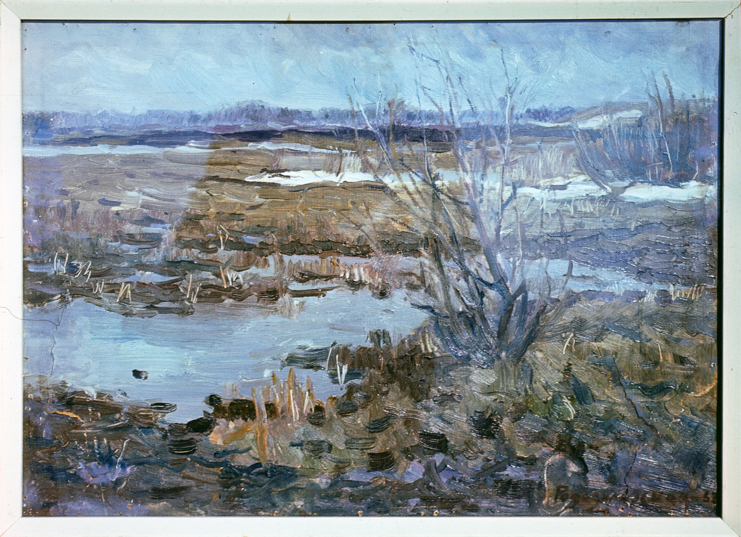 Творы Ядвігі Раздзялоўскай. Фотограф Евгений Стельмах в Молодечно и Минске