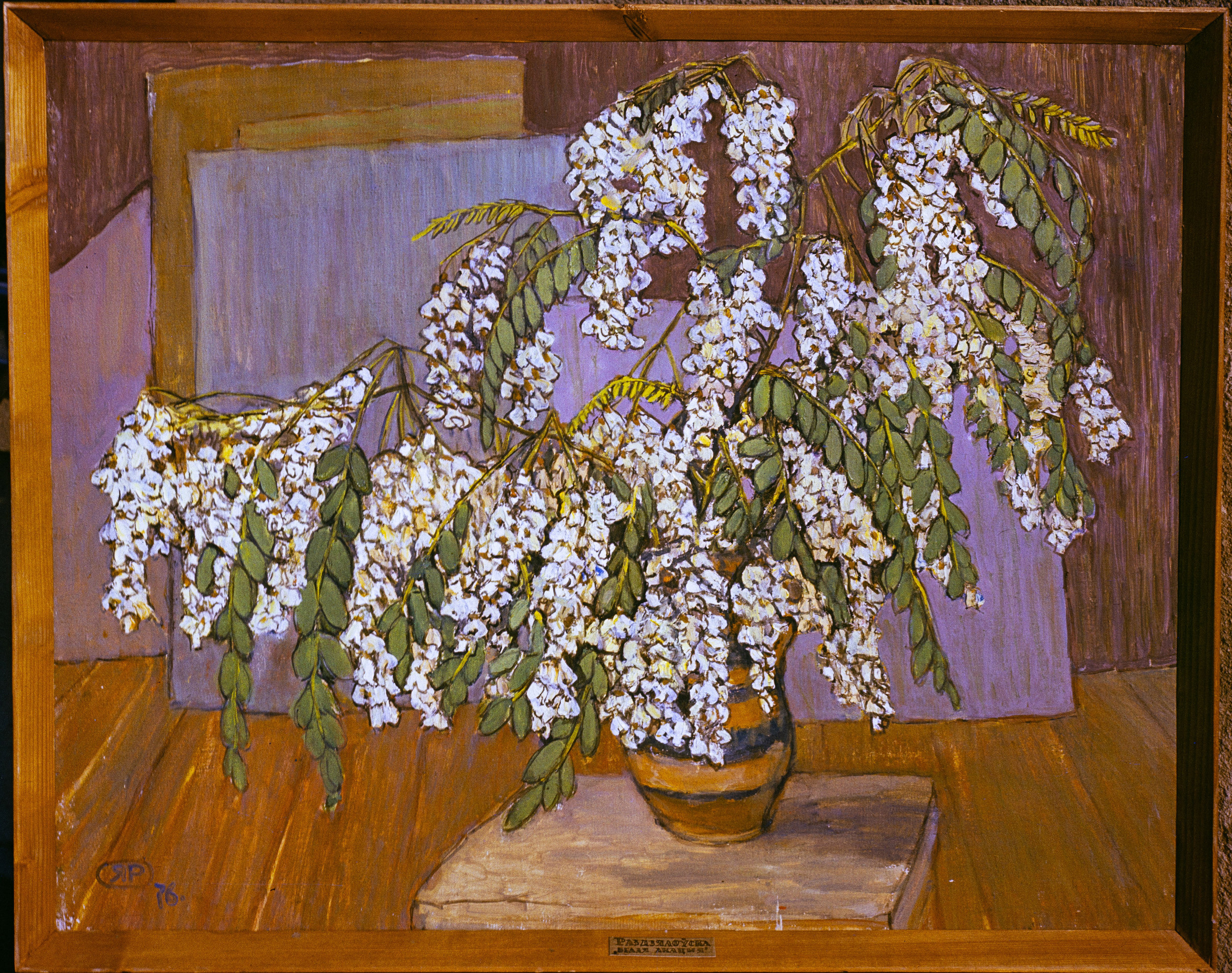 Творы Ядвігі Раздзялоўскай. Фотограф Евгений Стельмах в Молодечно и Минске