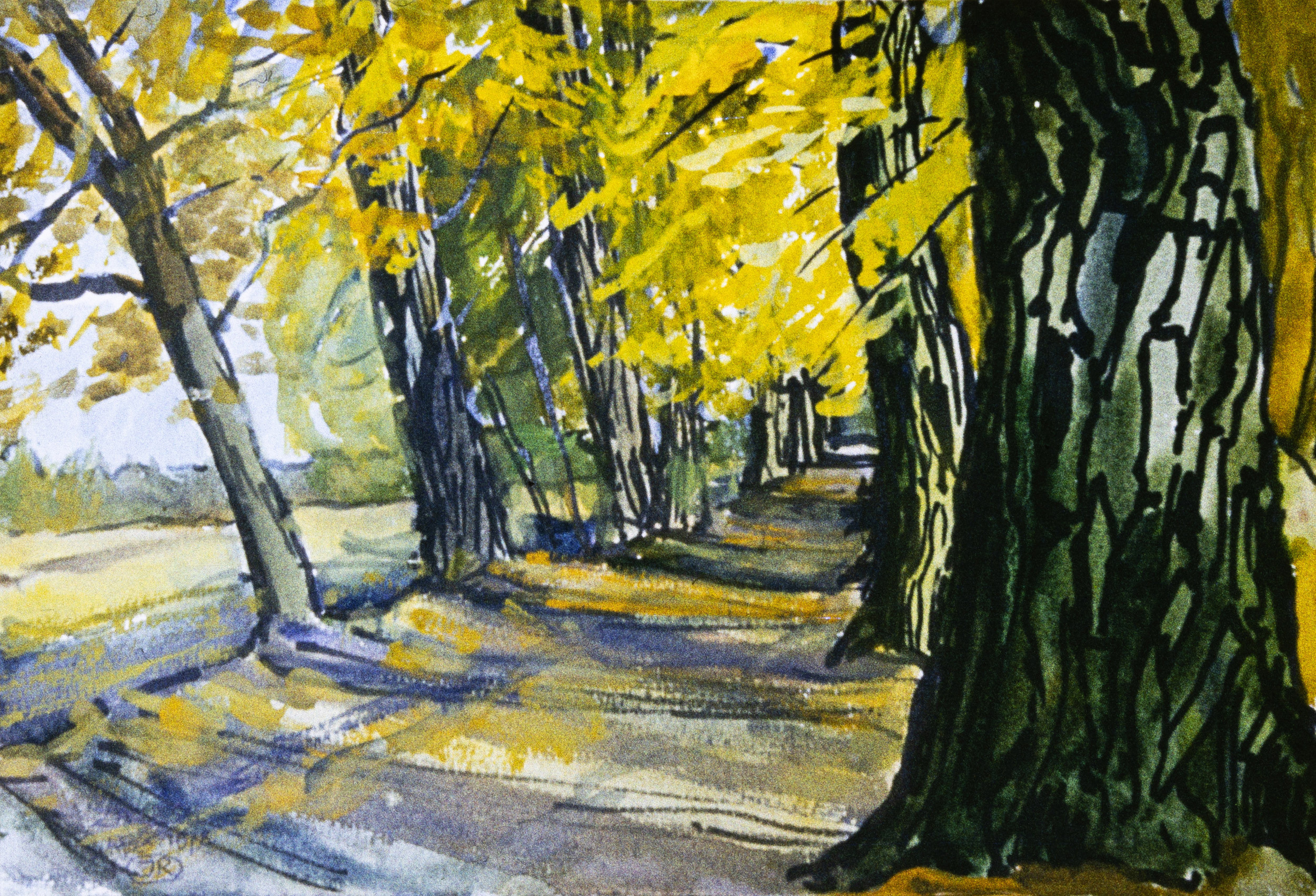 Творы Ядвігі Раздзялоўскай. Фотограф Евгений Стельмах в Молодечно и Минске