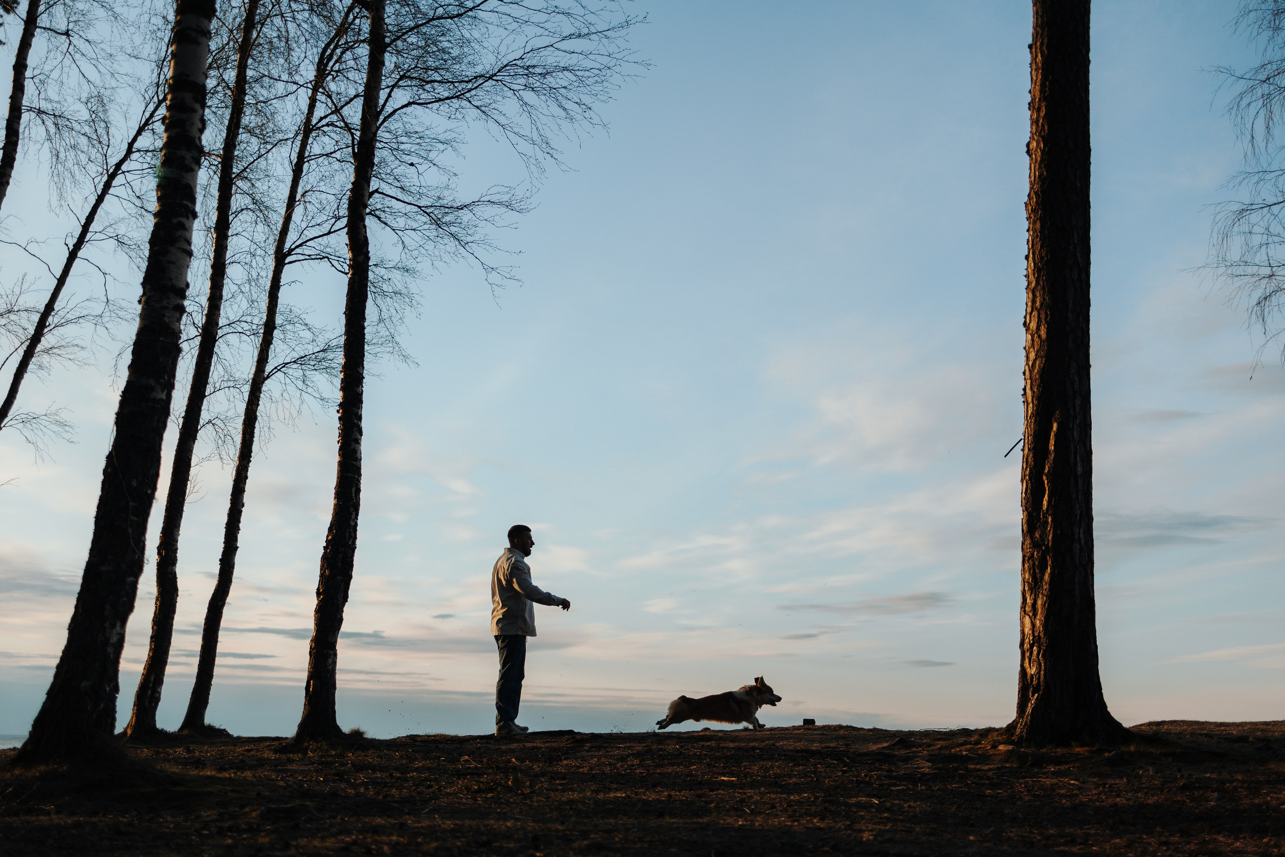 Найт и его семья. Фотограф — Анималист | Санкт-Петербург