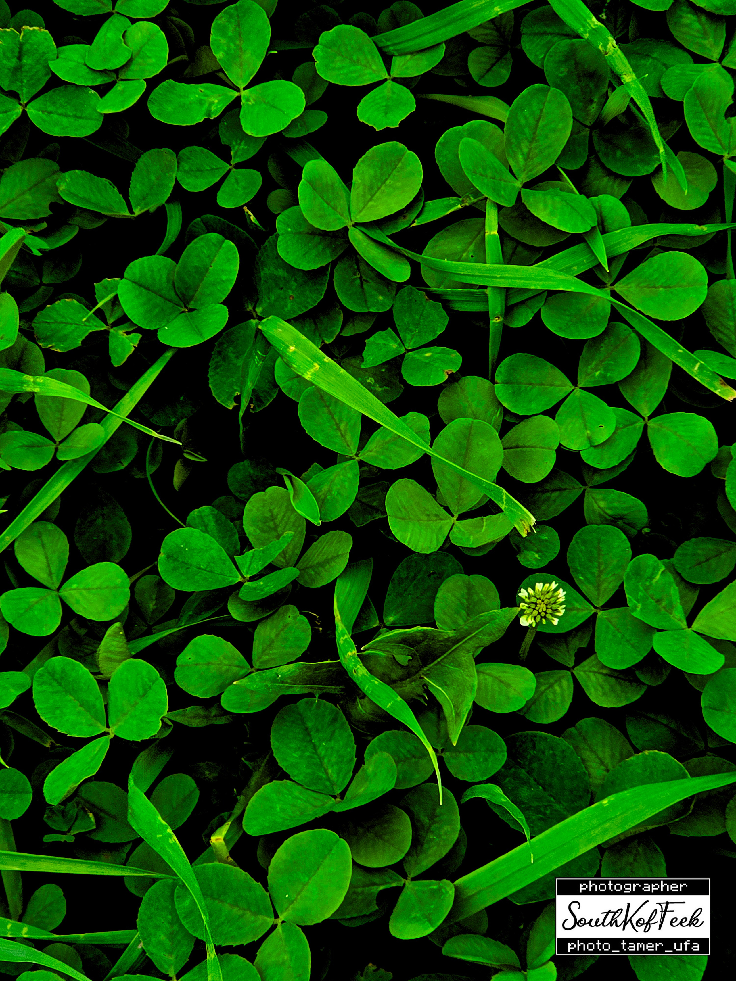 Прочие съемки. Photo Tamer Ufa