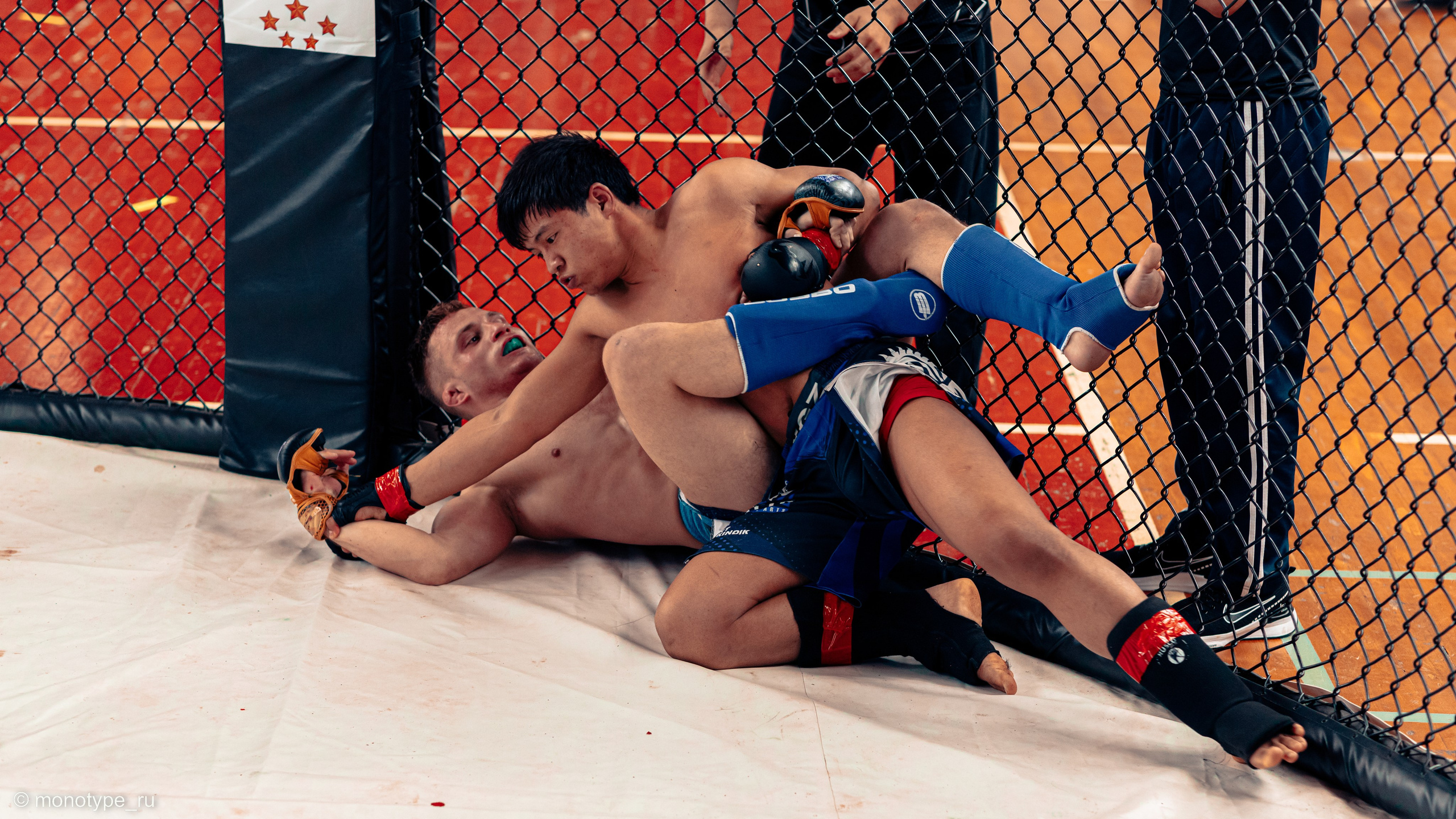 MMA. Бойцовский турнир