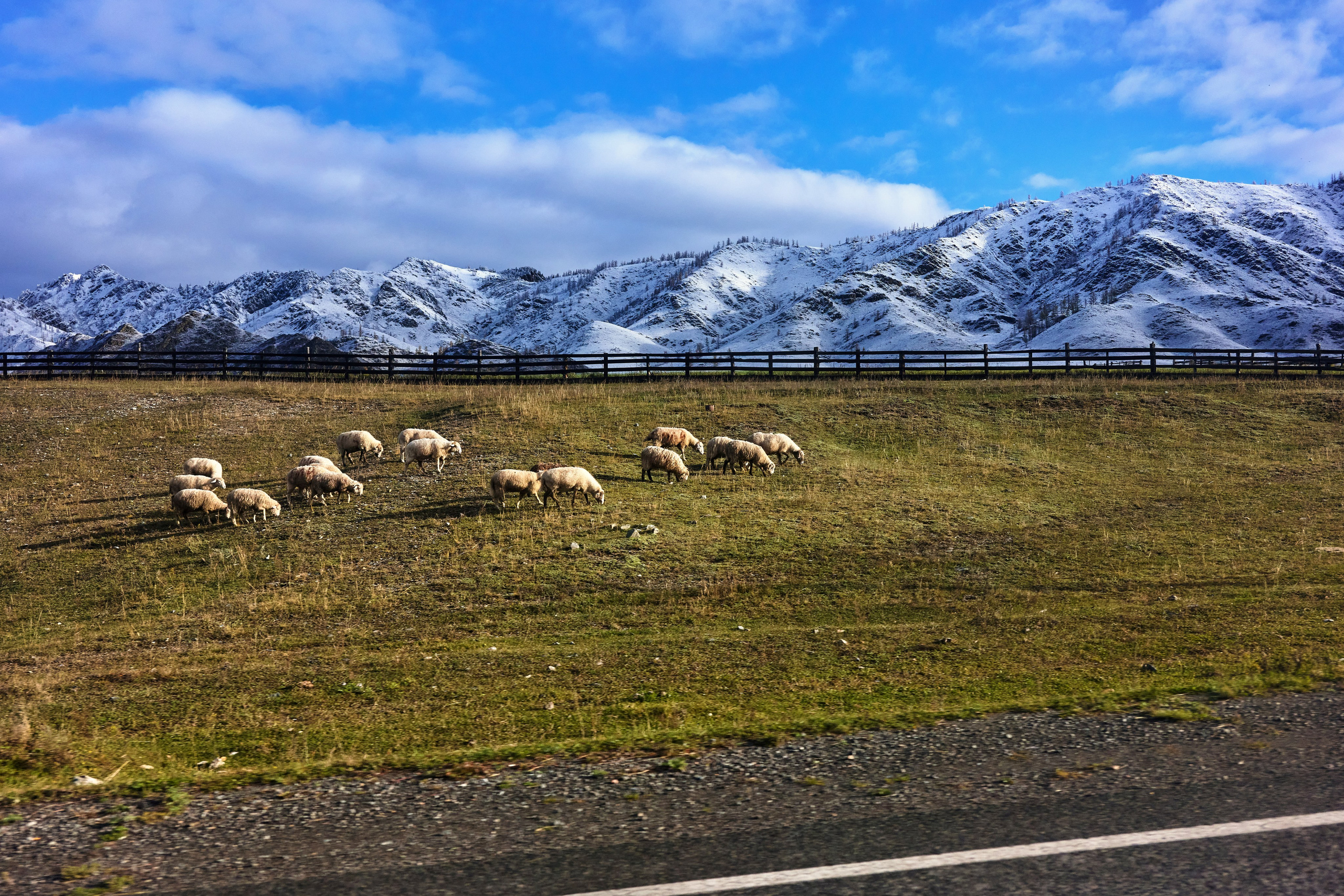 Пейзажный фотограф в Горном Алтае: съёмки природы и гор. Фотограф Опыт Качество Скорость Горный Алтай Барнаул