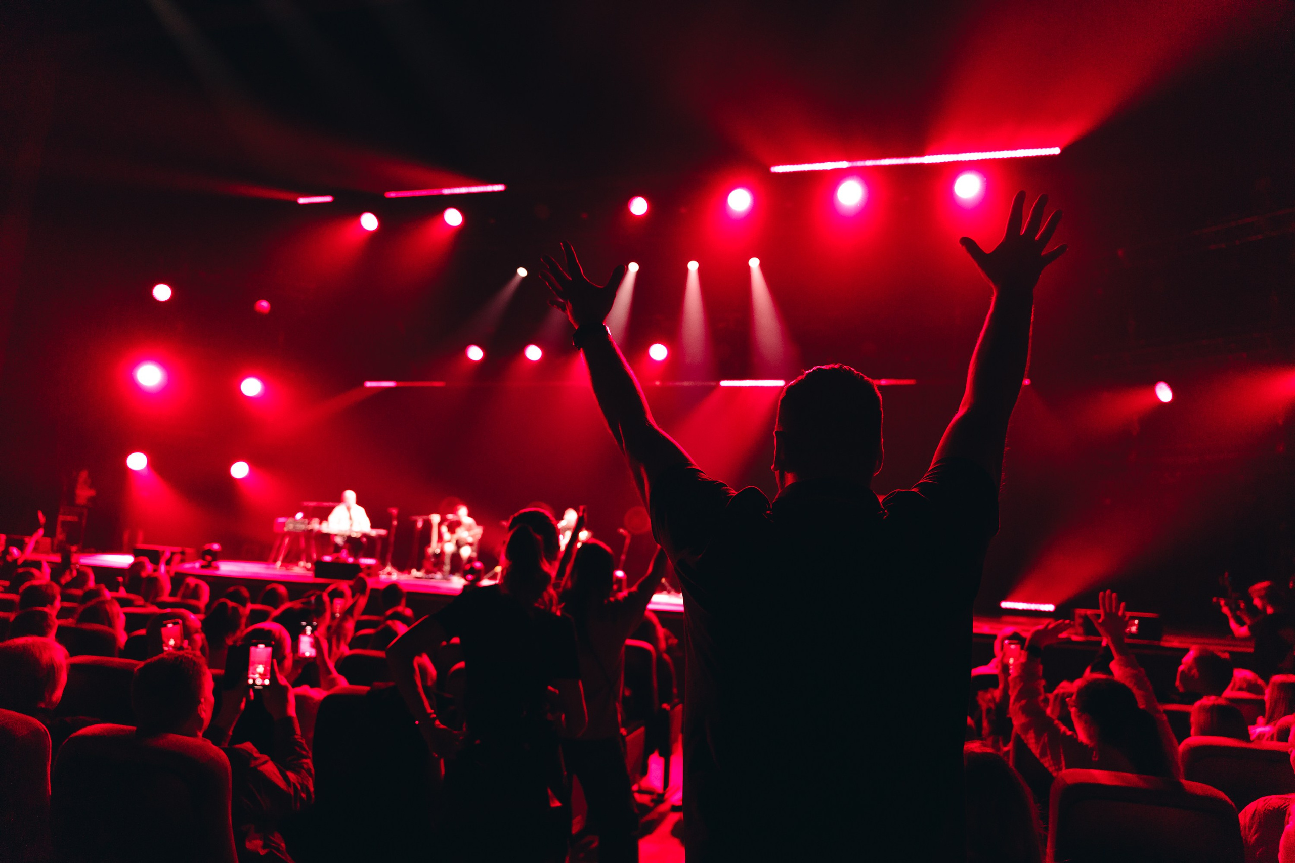 Звери. Магия музыки в кадре: Концертная Фотография