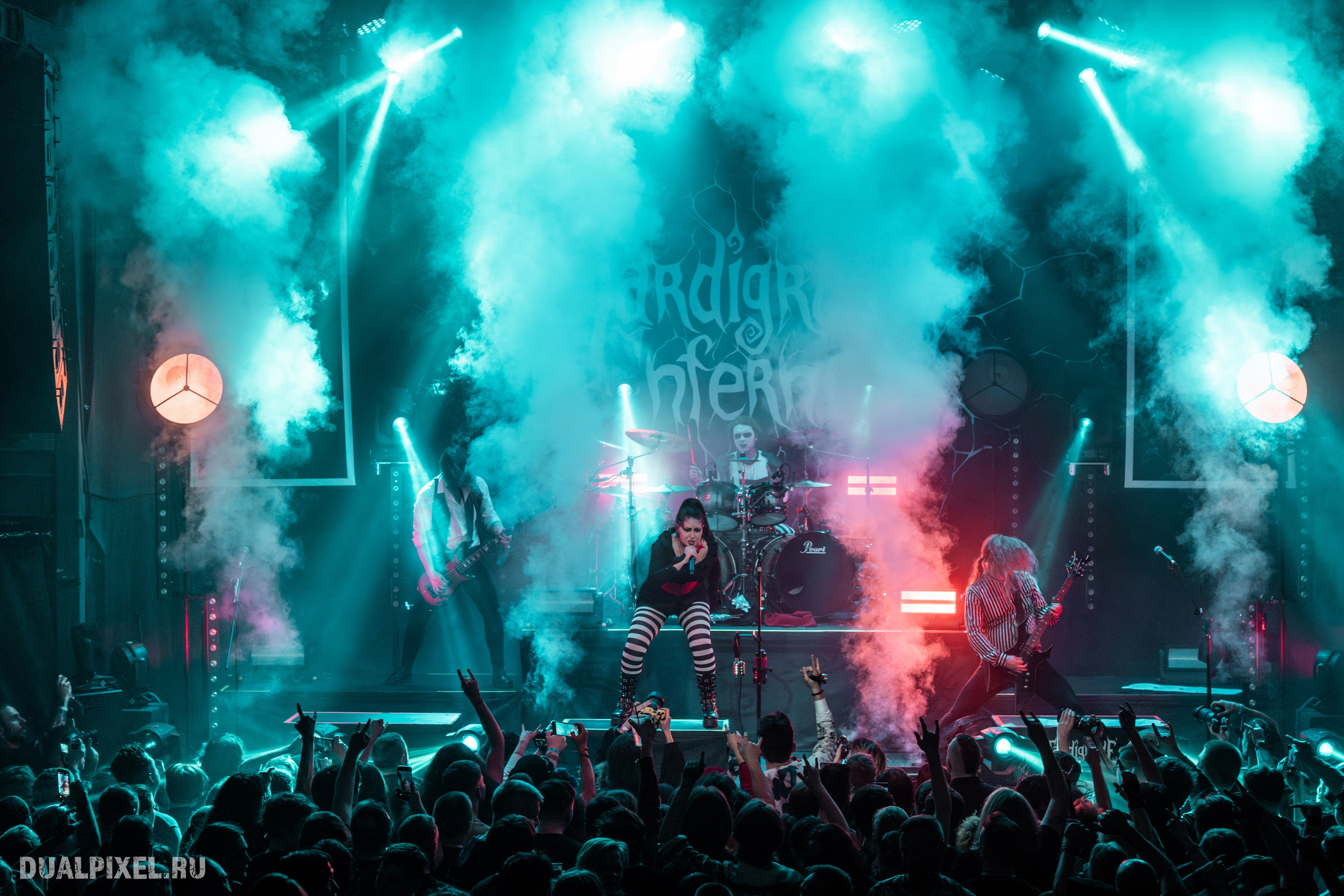 TARDIGRADE INFERNO. Магия музыки в кадре: Концертная Фотография