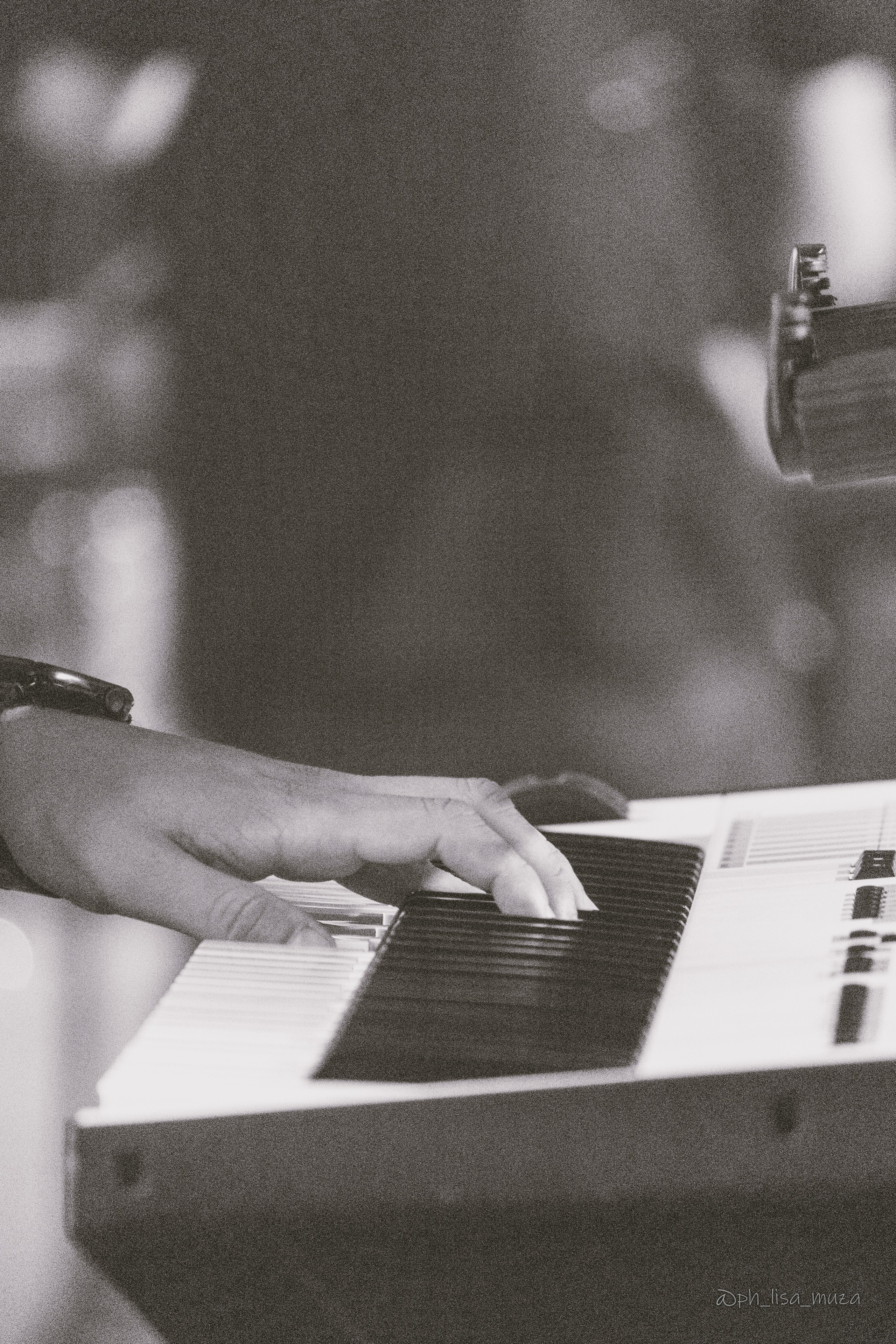 LikeCoverBand (июнь 2024). Ph_lisa_muza