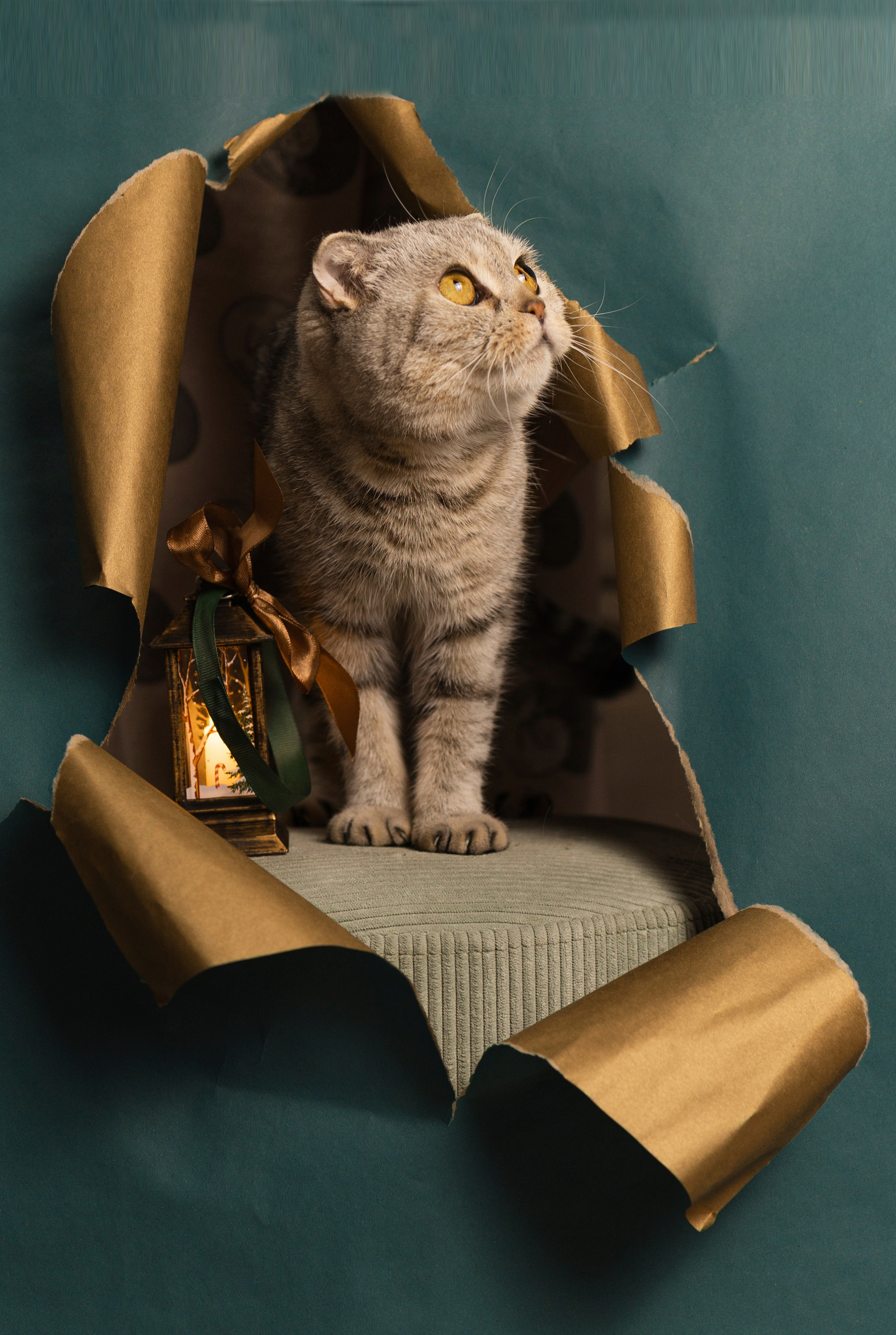 ДОМ. ЕЛЕНА МИРНАЯ/ЖЕНСКИЙ ФОТОГРАФ/АСТРАХАНЬ