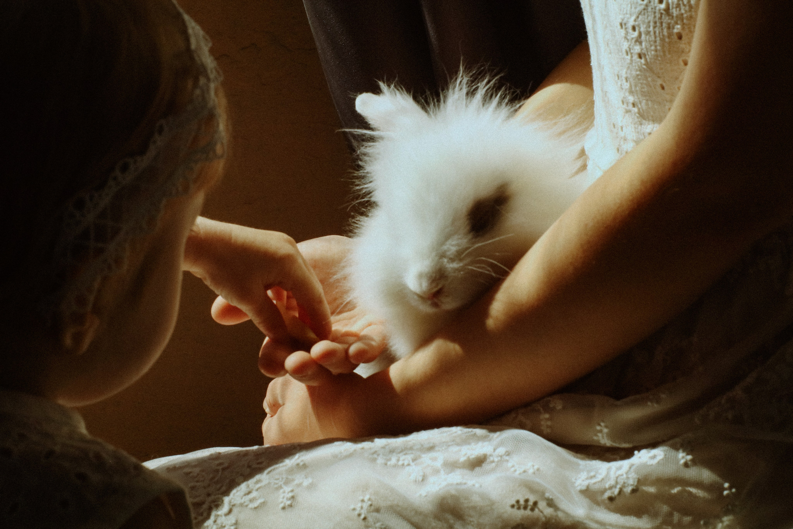 Детская семейная фотосессия. Фотограф и видеограф Анастасия Витюкова | Екатеринбург