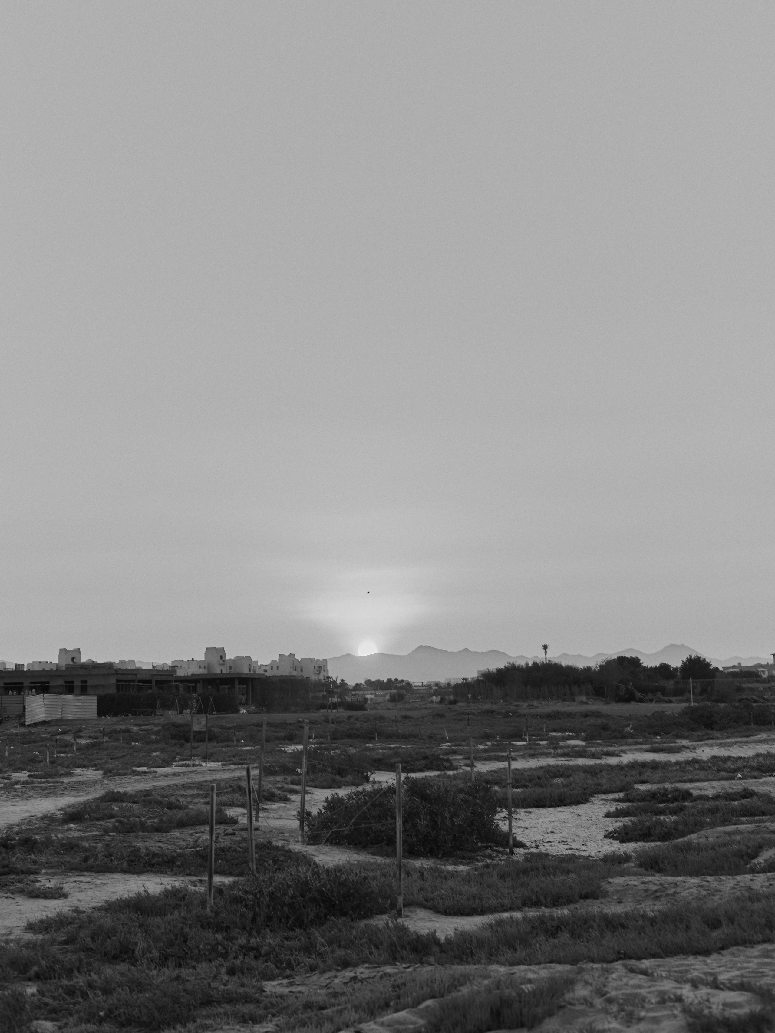 B&W. Jorgis — фотограф в Хургаде / обучение фотографии