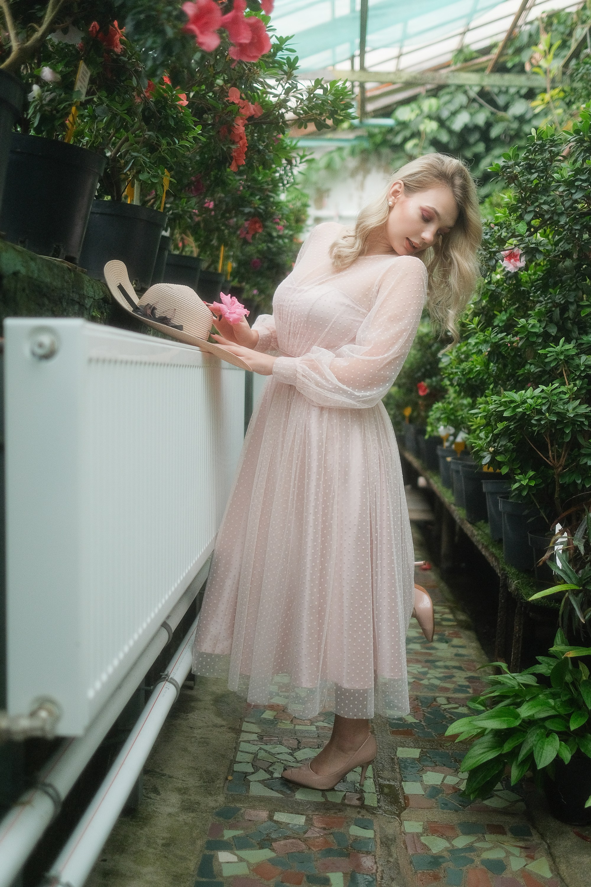 Greenhouse. Aleksandr Schafft