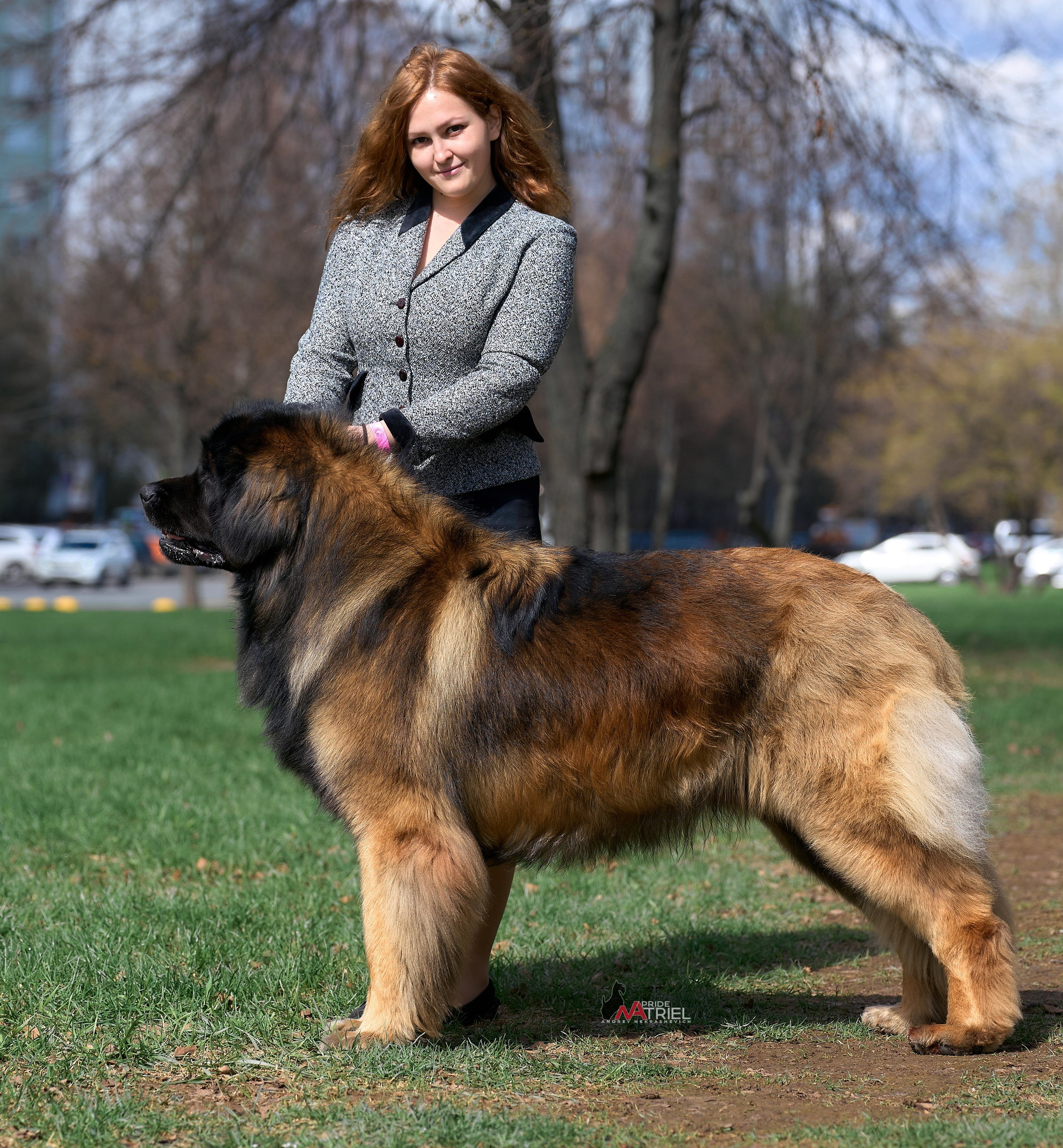 Картинки с выставки — галерея NATRIEL
