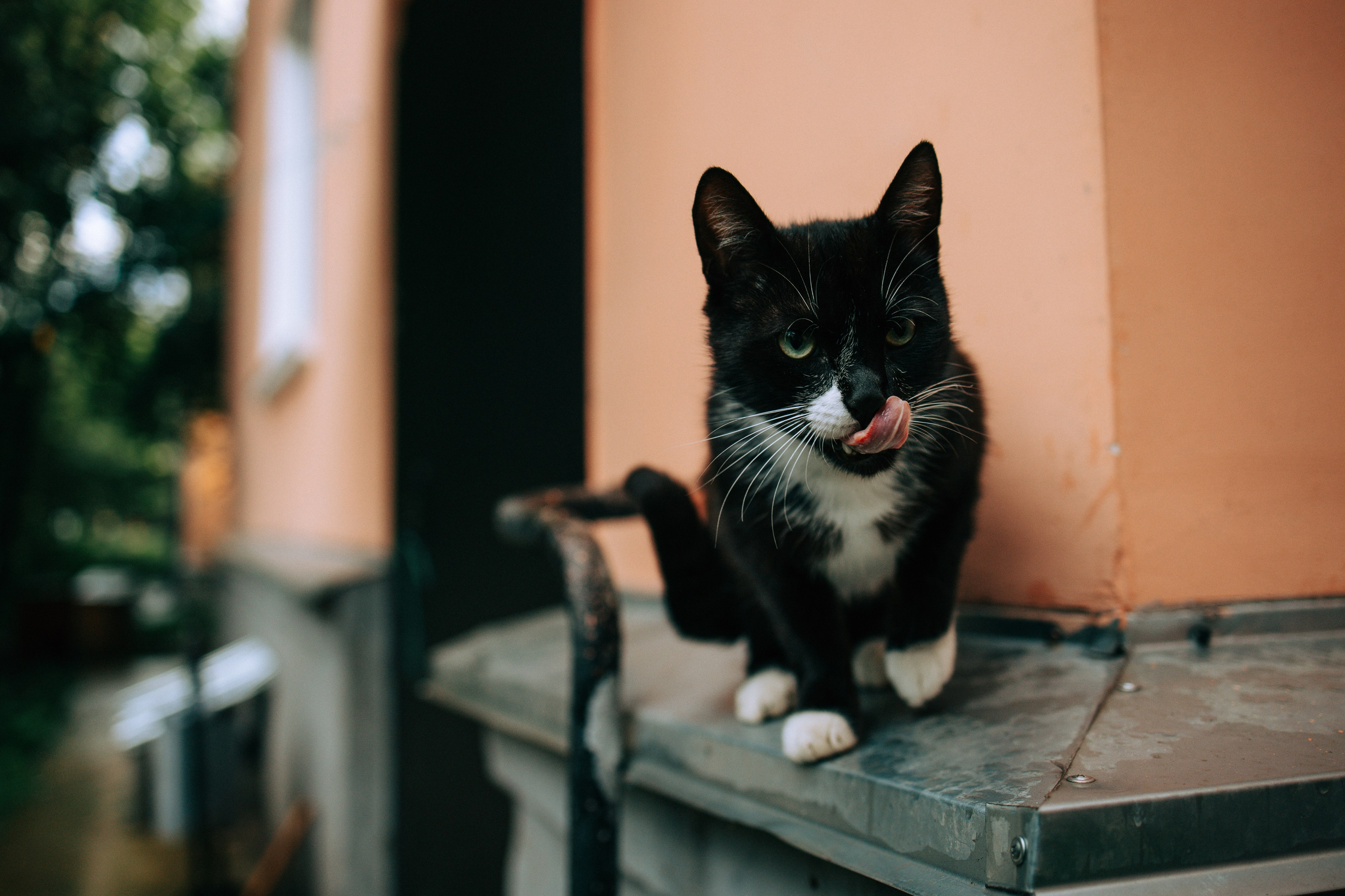 Дождливое лето. Свадебный и семейный фотограф в Туле и области Маша Костина