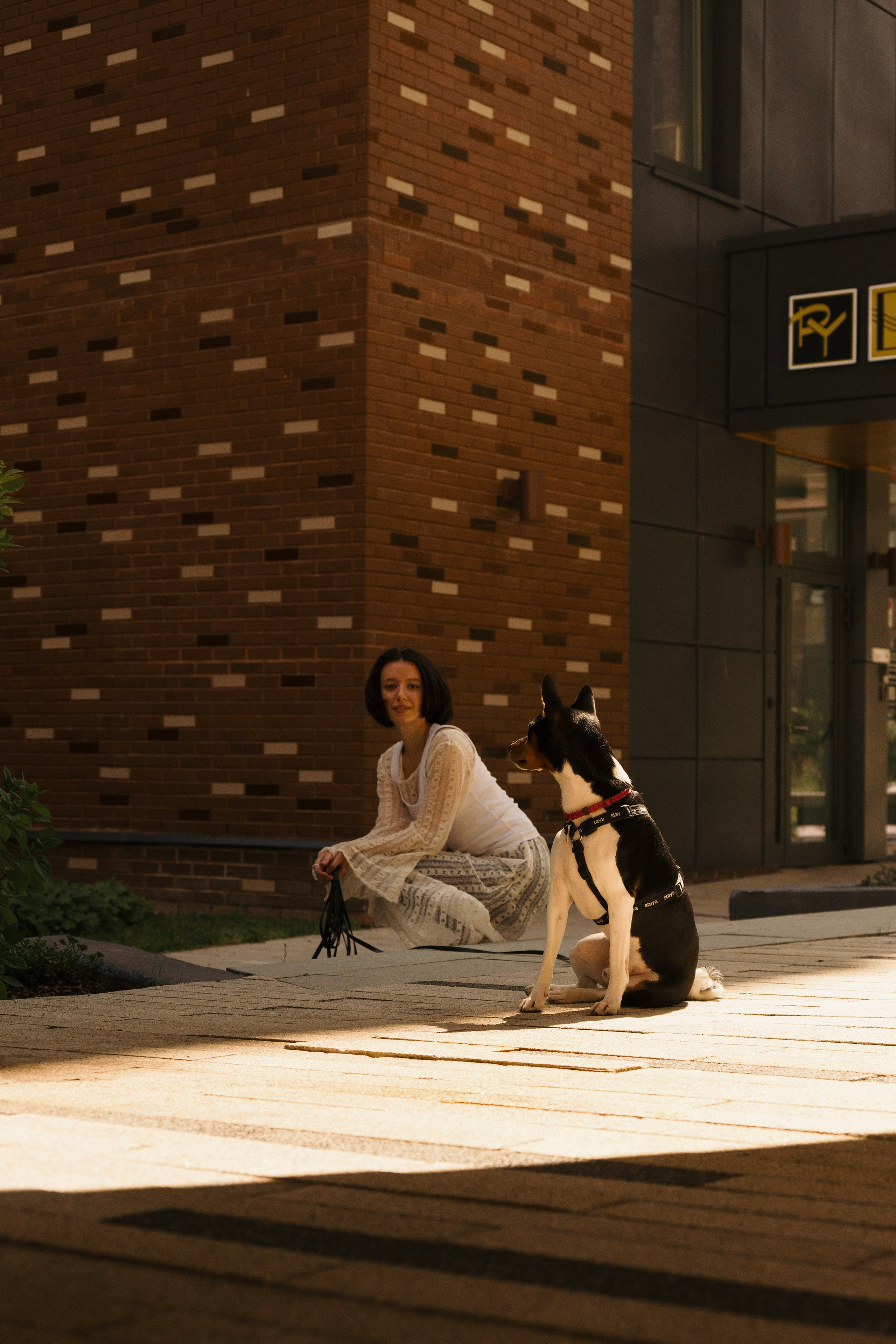 Златан. Фотограф- анималист Александра Матвеева