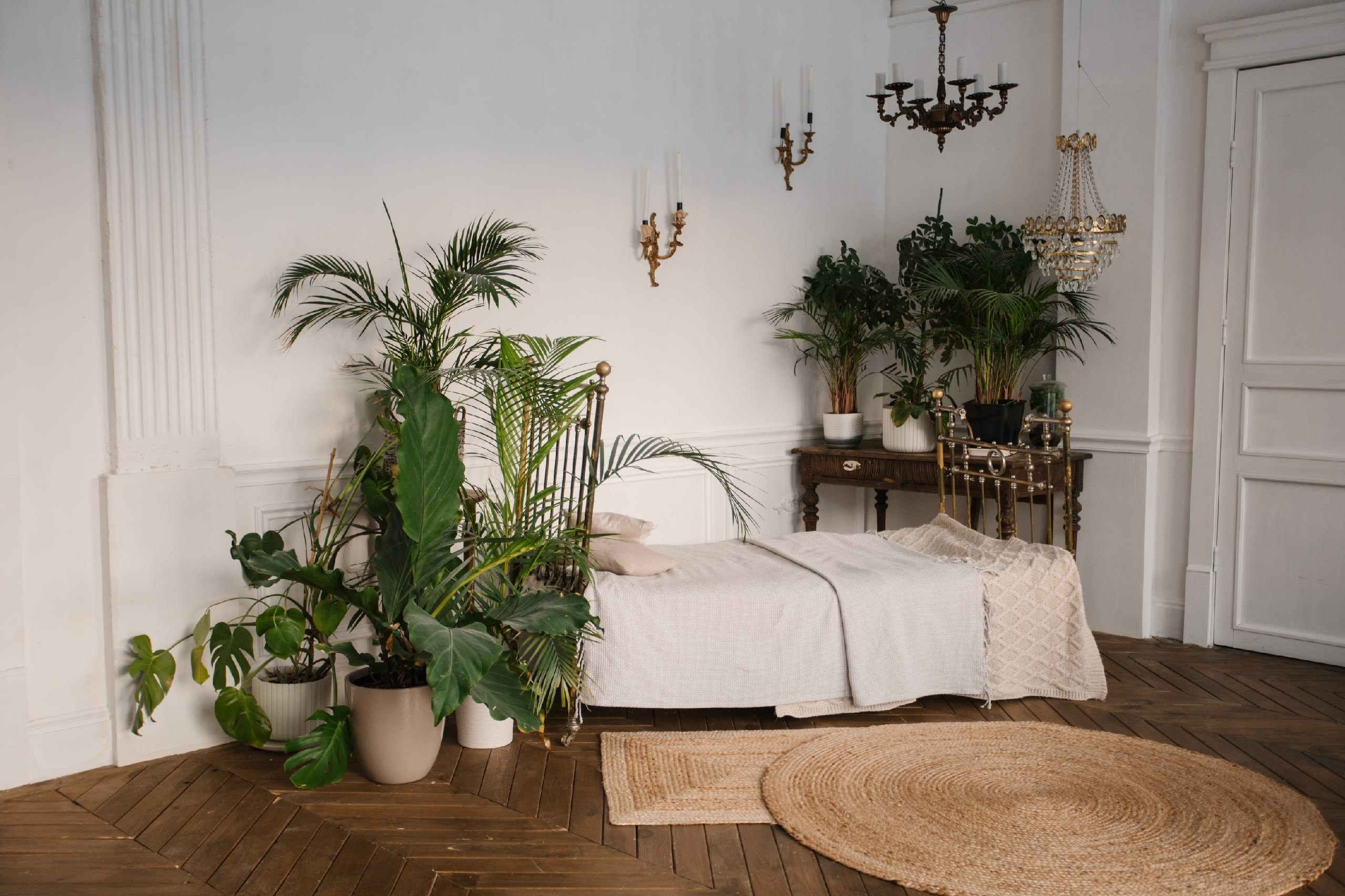 ТОП фотостудий Тюмени 2026: где провести стильную фотосессию. Портретный фотограф Тюмень Дарья Мустафина