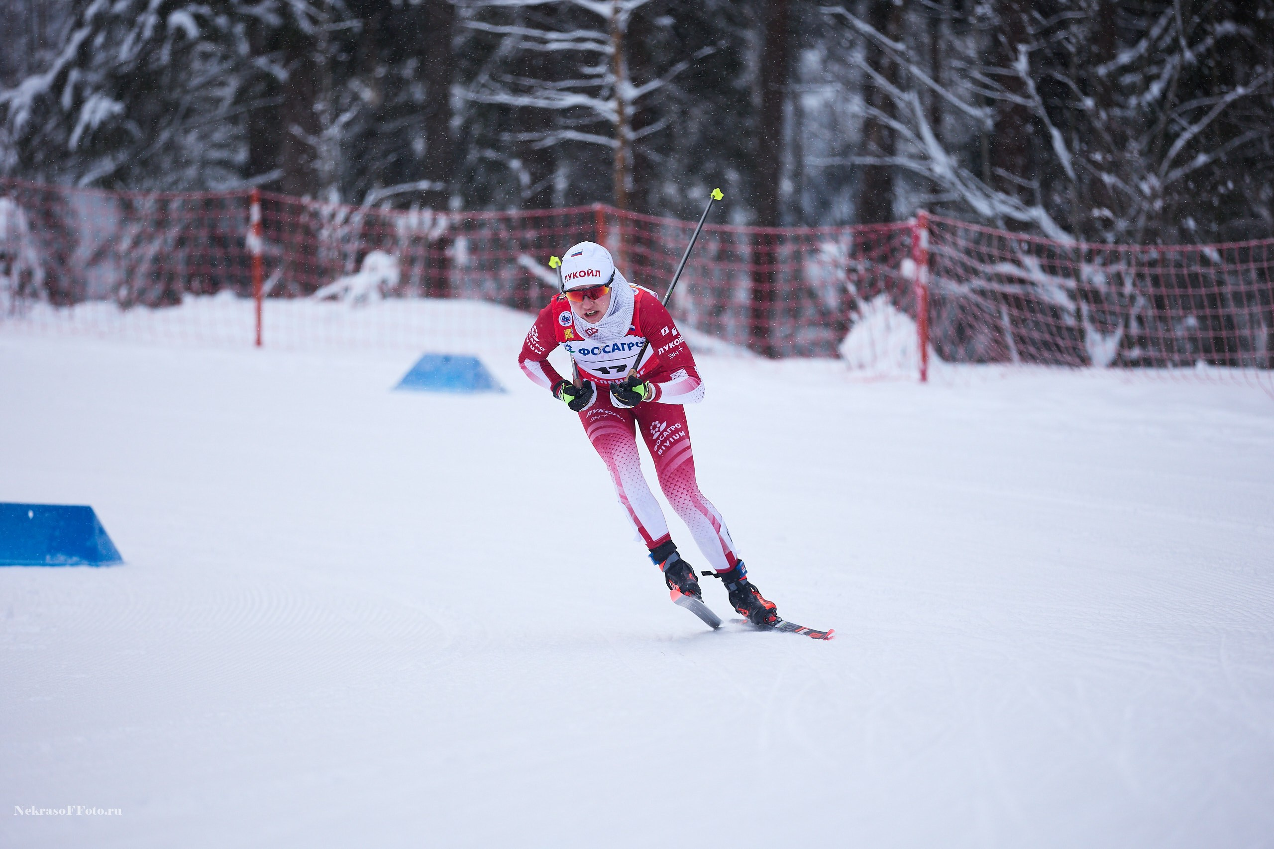 Кубок России по Лыжным гонкам. Спортивный фотограф Некрасов Денис