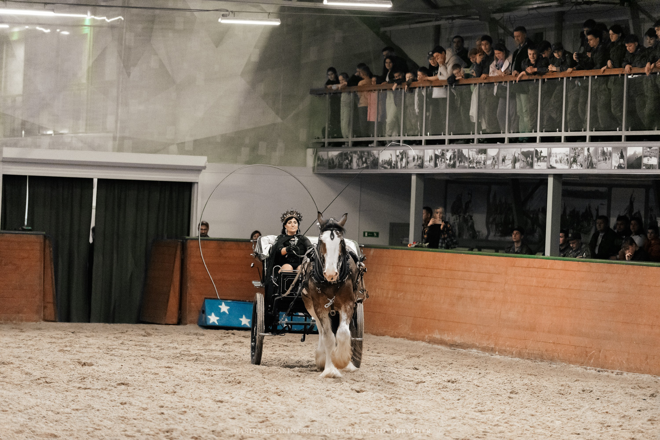 Конное представление «Дыхание Звёзд». Конный фотограф Куракина Дарья • Фотосессии с лошадьми
