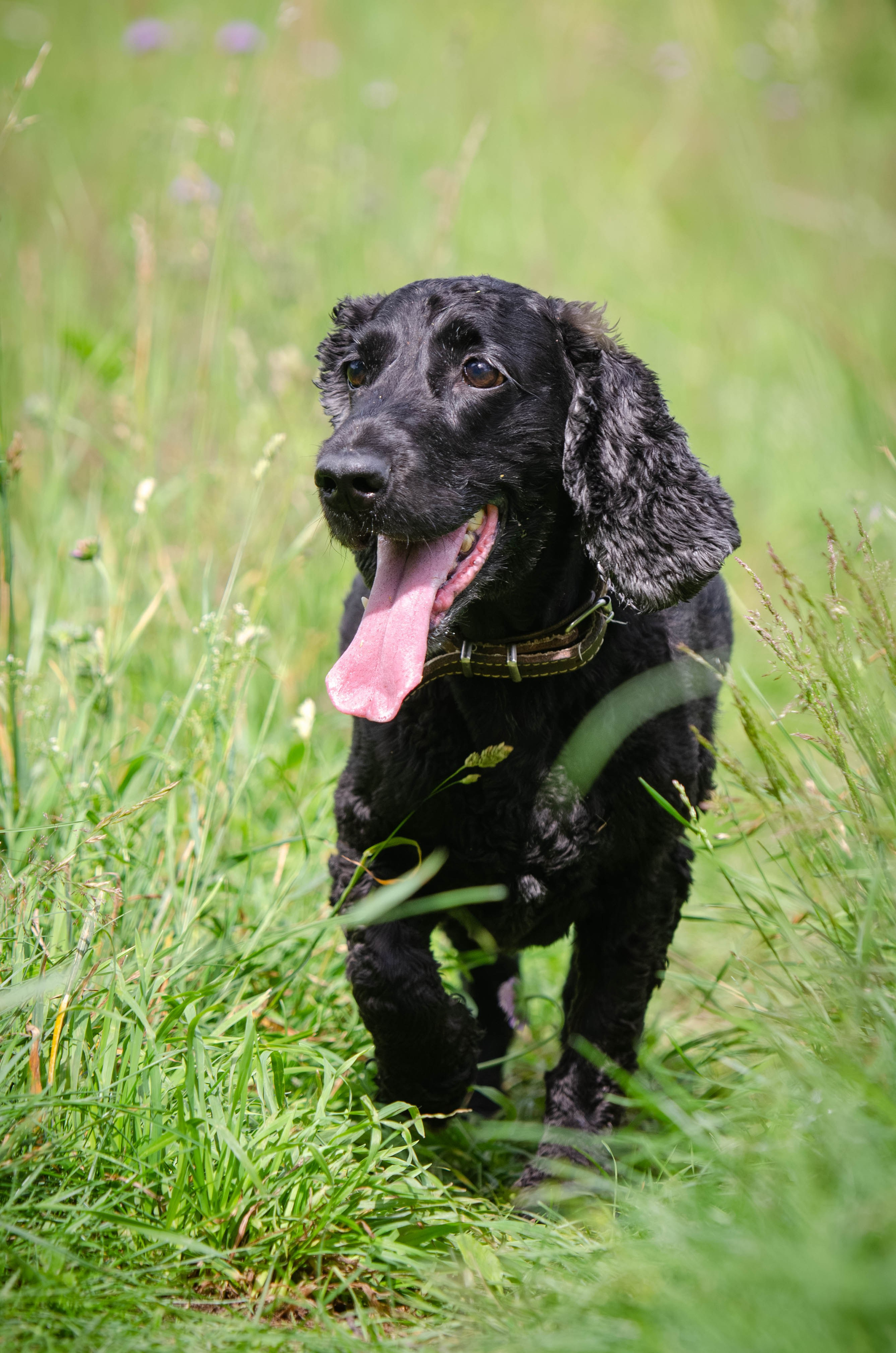 Прогулка (Лохин остров). Фотограф Светлана Блинова, Москва и Московская область