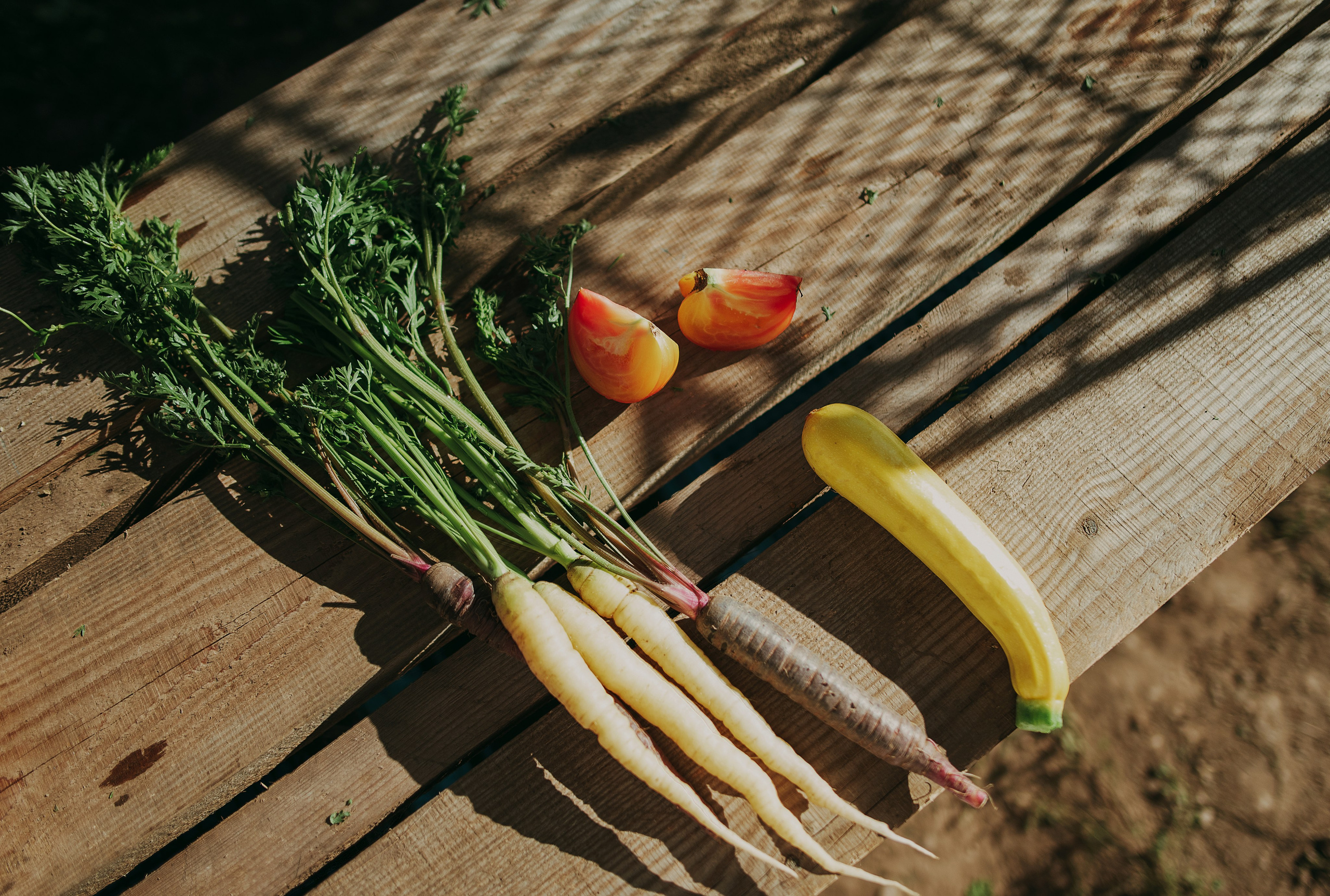 Лавка Болотова для Inc.